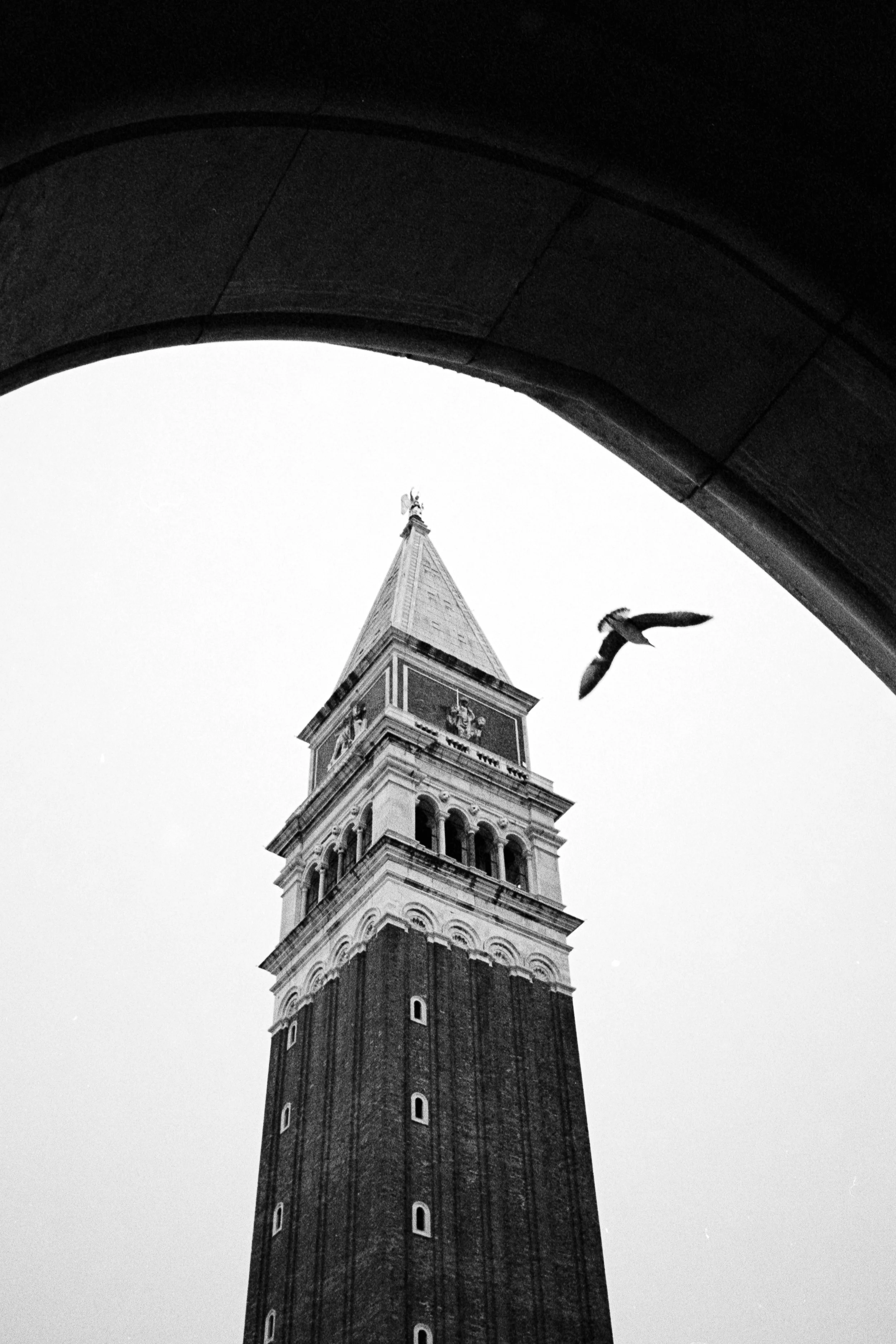 Pro-Capture One 3187.jpg