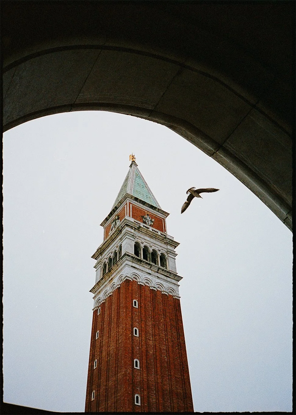 Fine art print of looking up at the bell tower of St. Mark's Basilica in Venice, Italy, seen through an arch, with a bird flying nearby on 35mm film Pentax 17