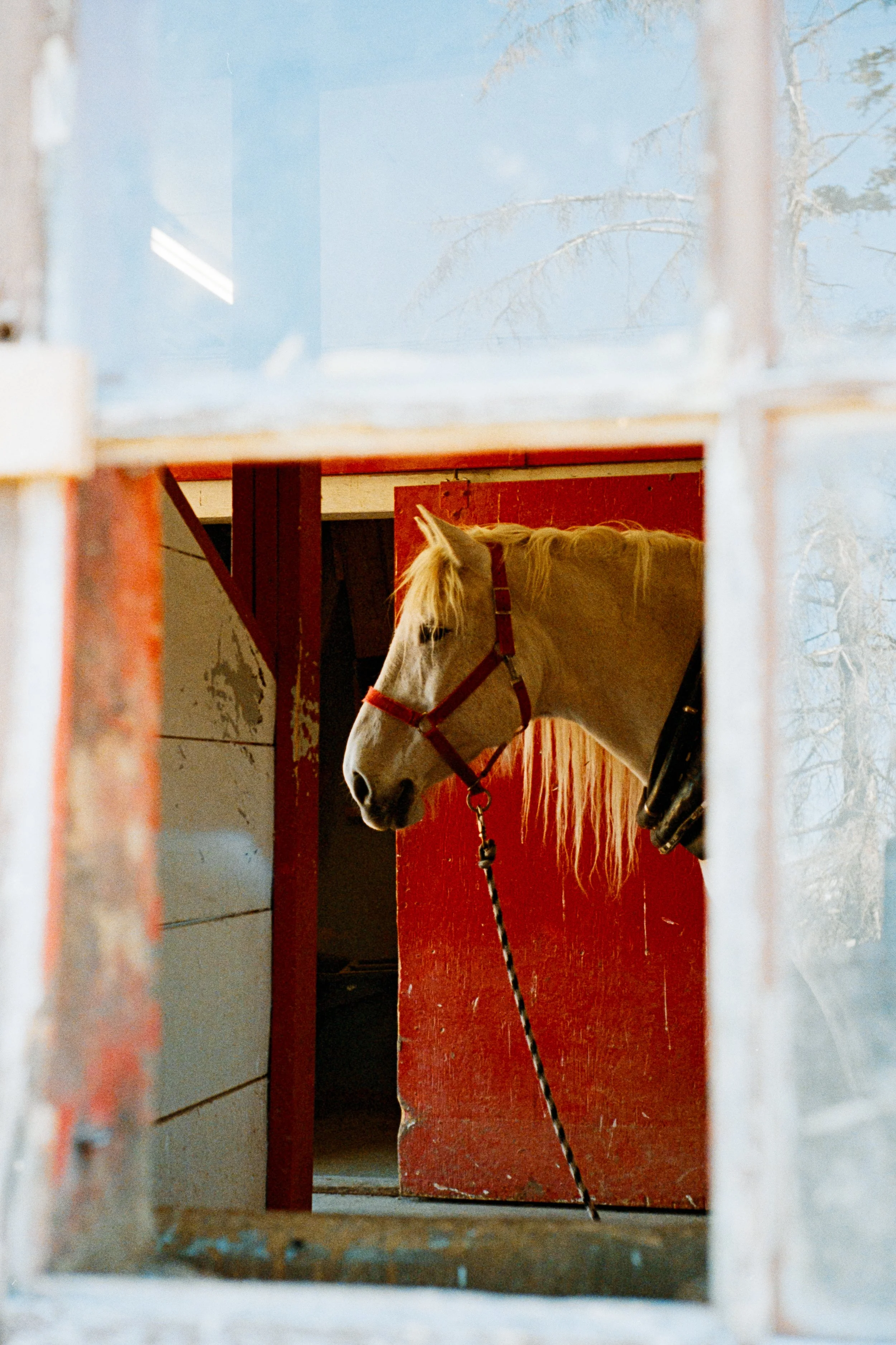 Untitled Catalog3205.jpg