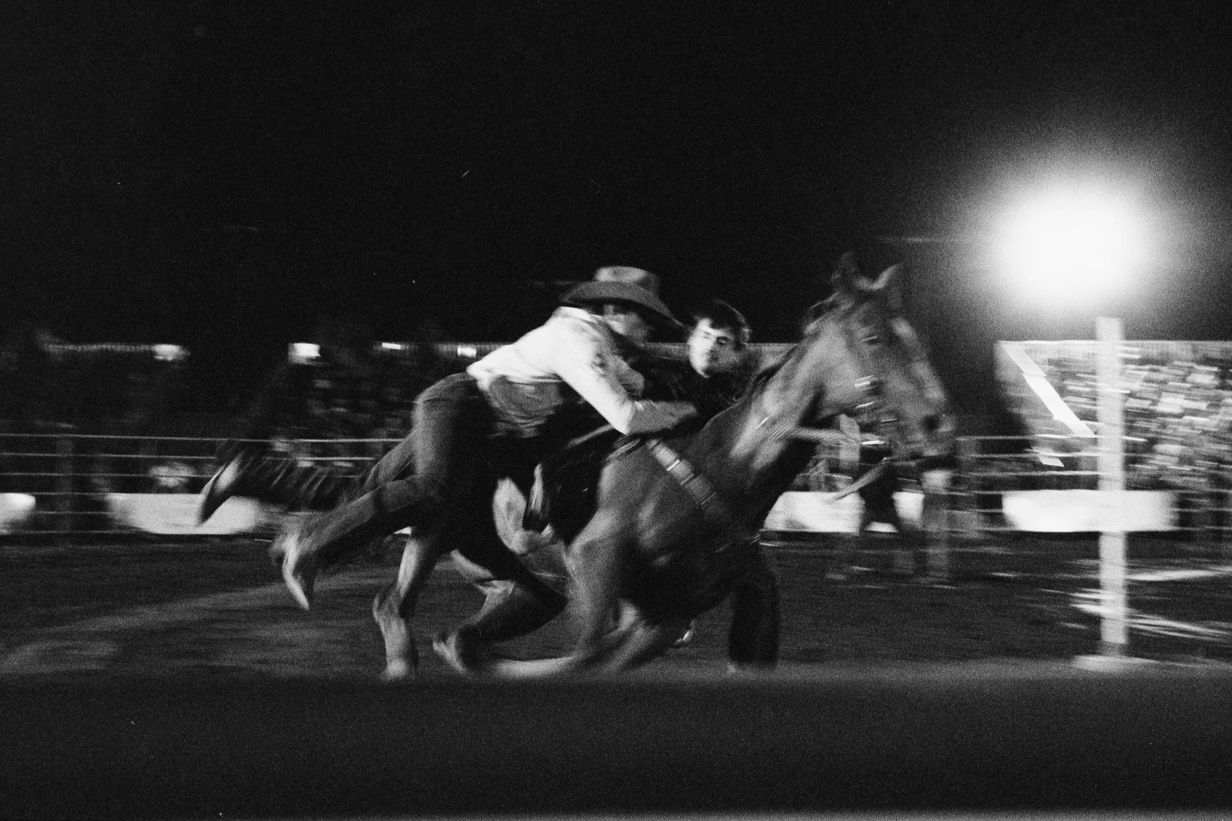 Untitled Catalog2076.jpg