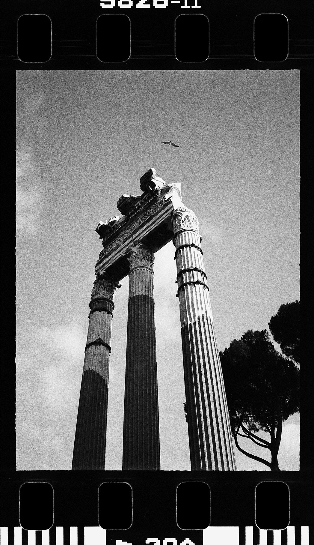 Fine art print of the ruins of caesars palace in the roman form in Rome on 35mm film Pentax 17