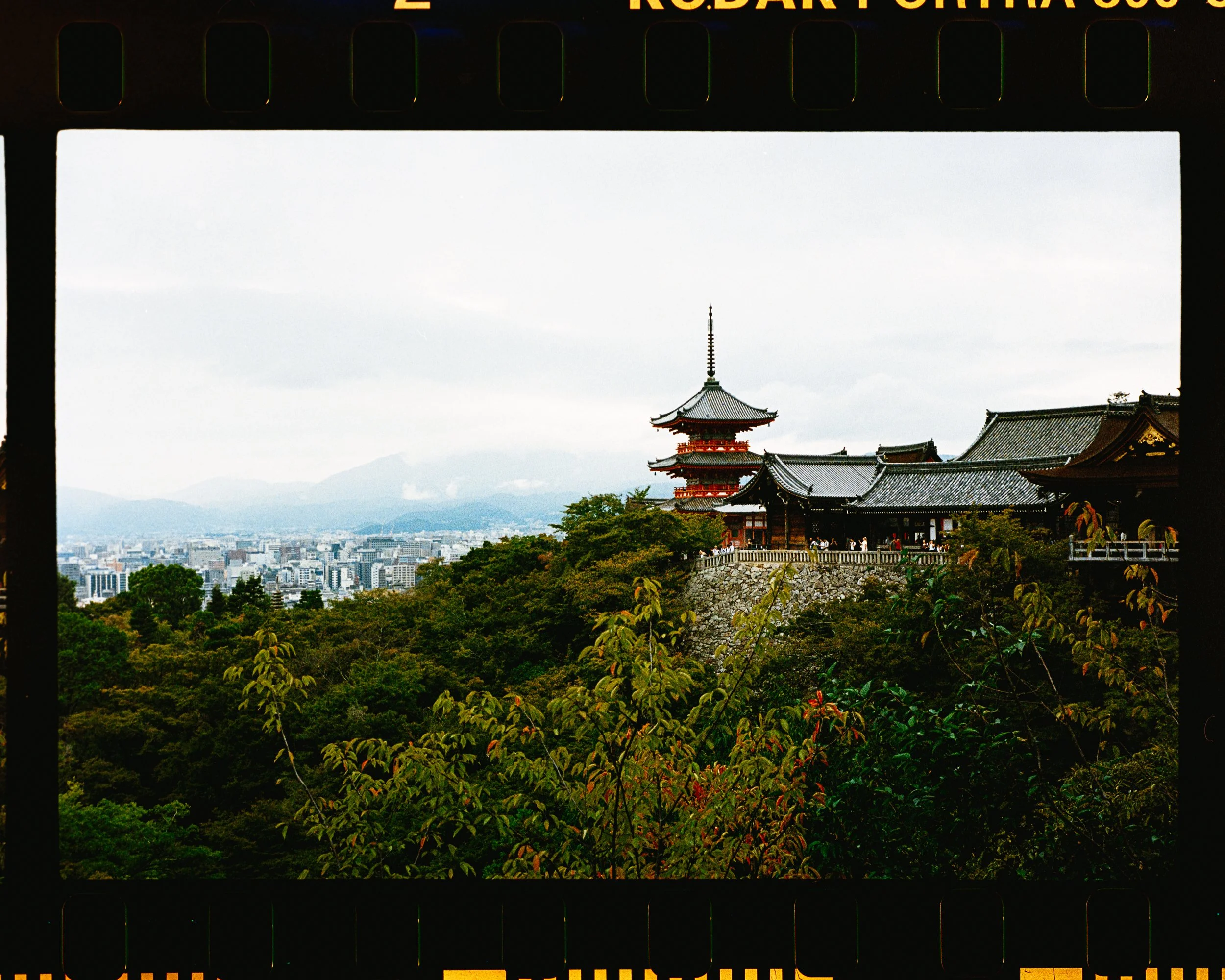 Untitled Catalog3770.jpg