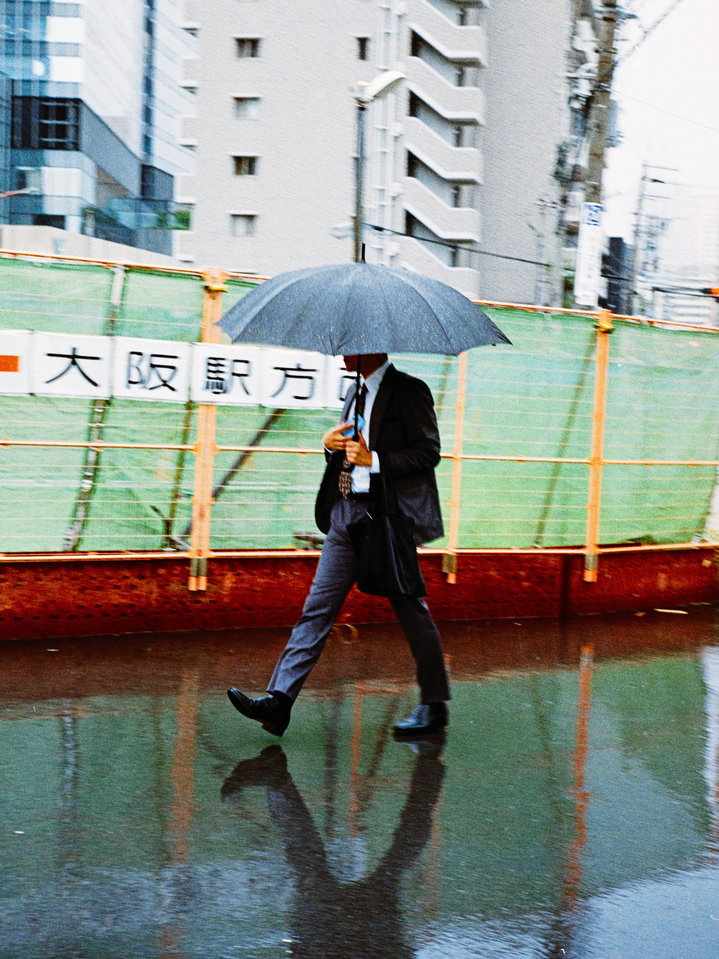 Untitled Catalog9126.jpg