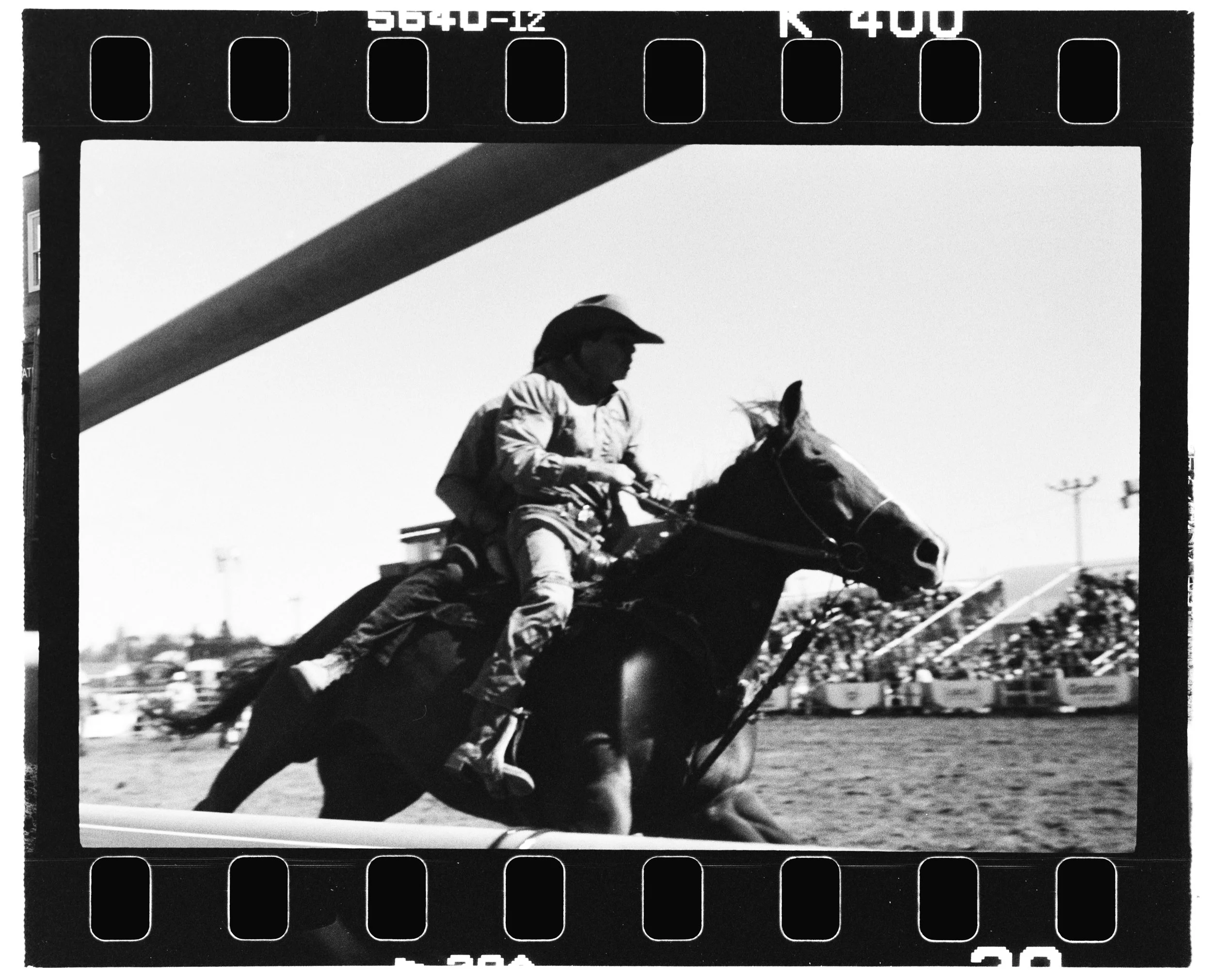 Untitled Catalog2102.jpg