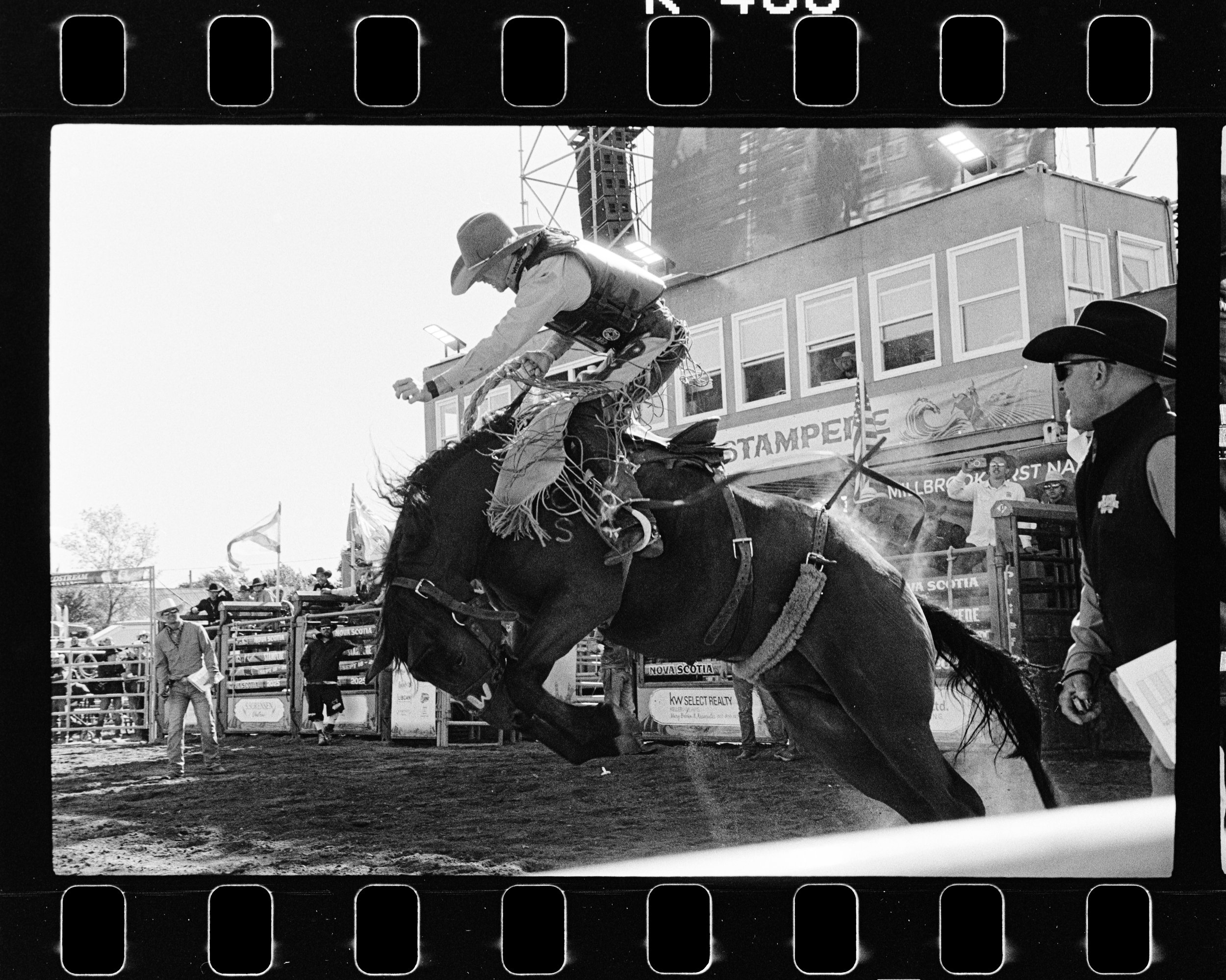 Untitled Catalog2117.jpg