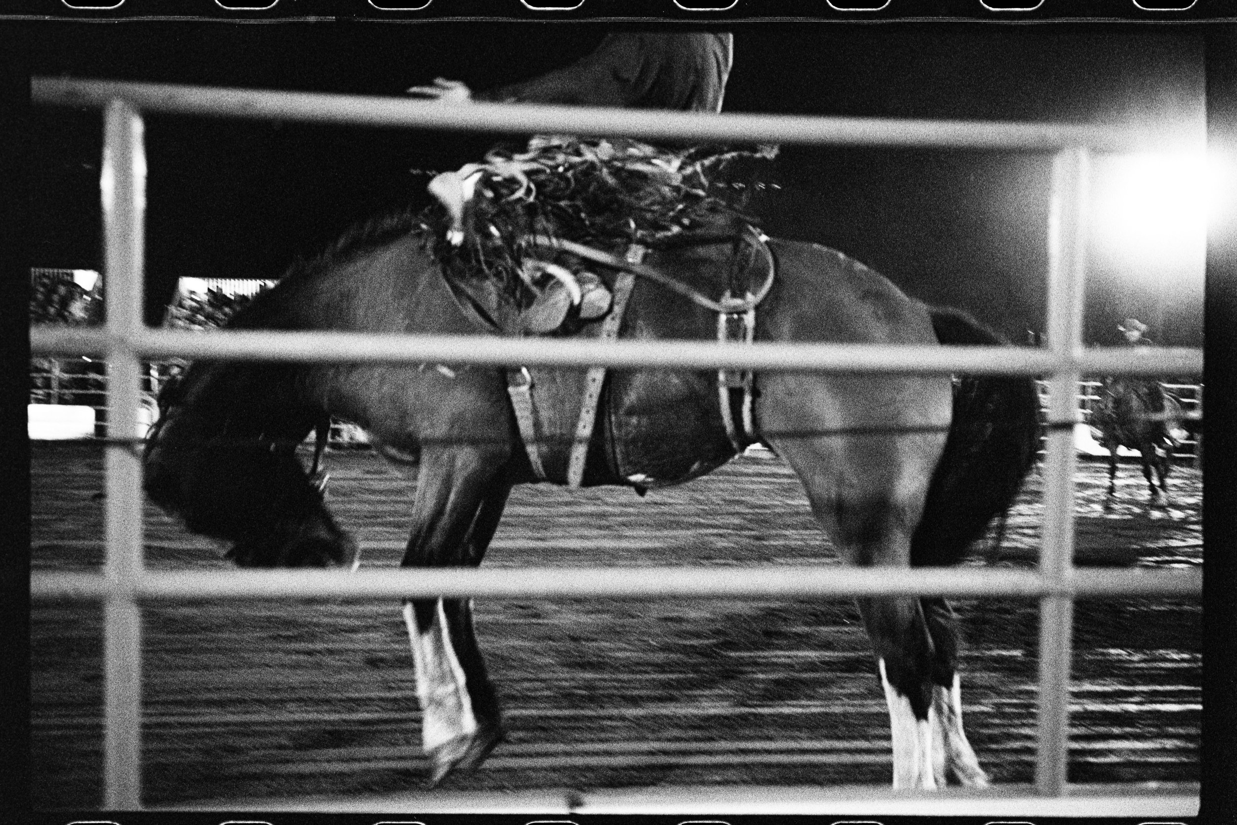 Untitled Catalog2073.jpg