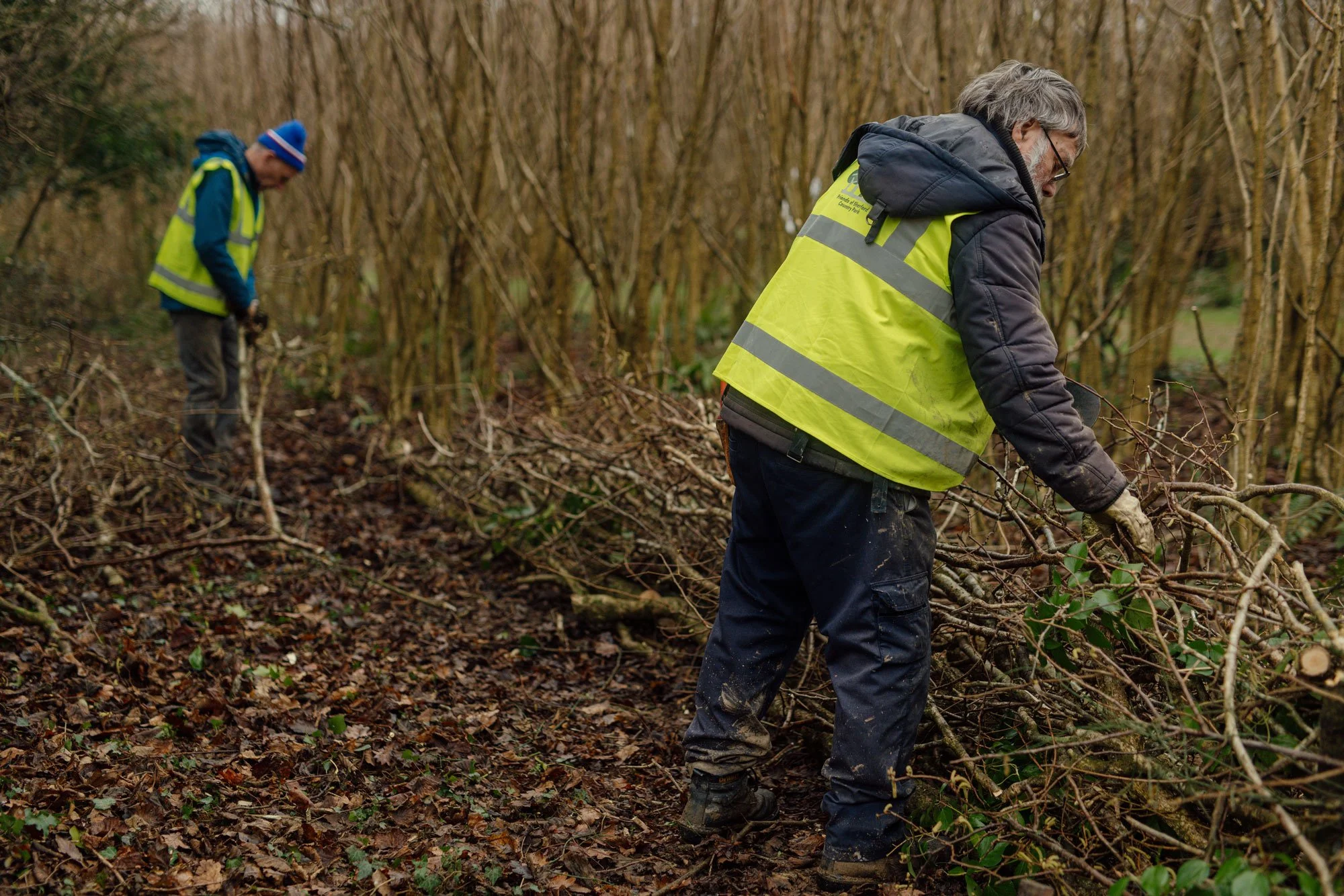 Two people in yellow safety vests clearing fallen branches in a wooded area
