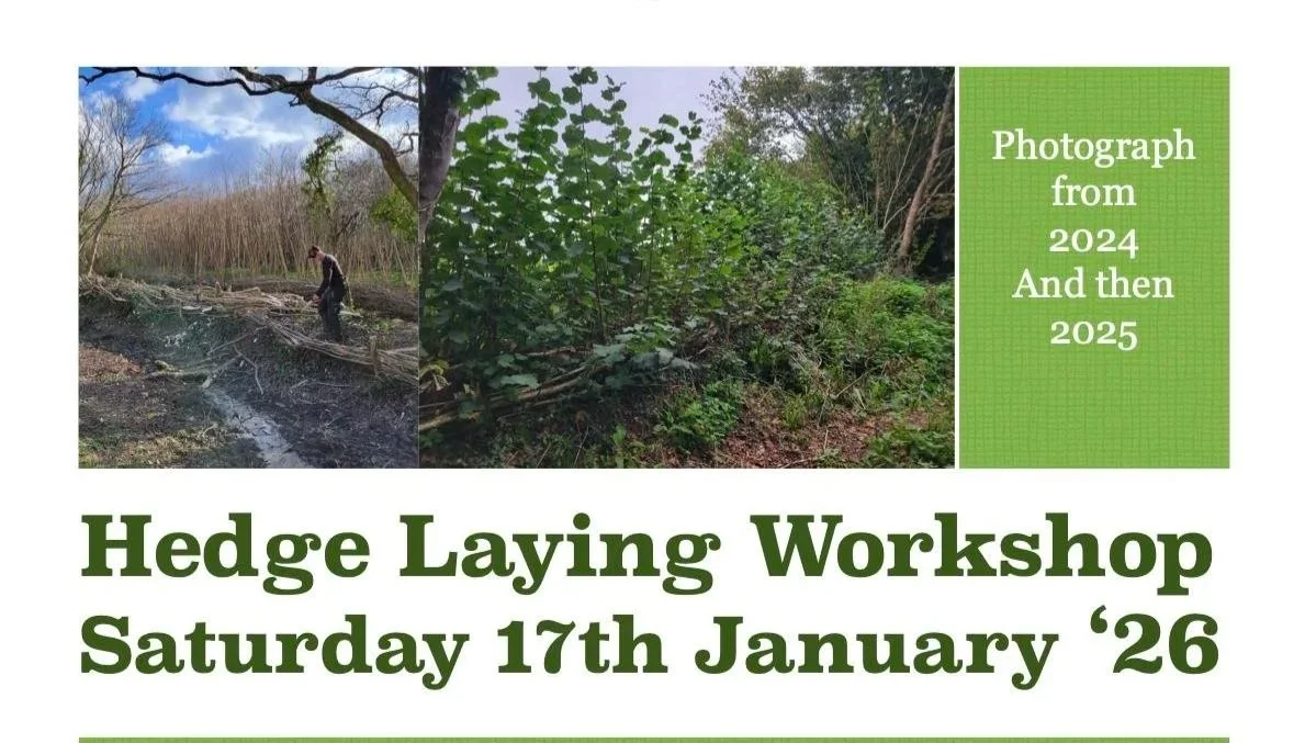 Hedge Laying Workshop 