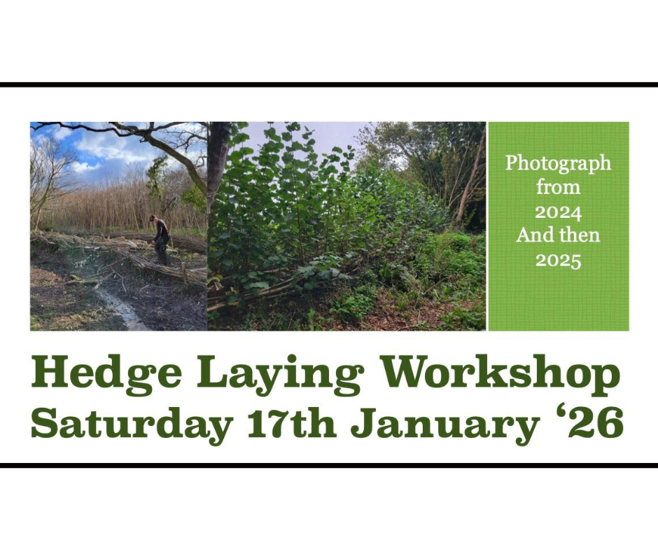 Hedge Laying Workshop 