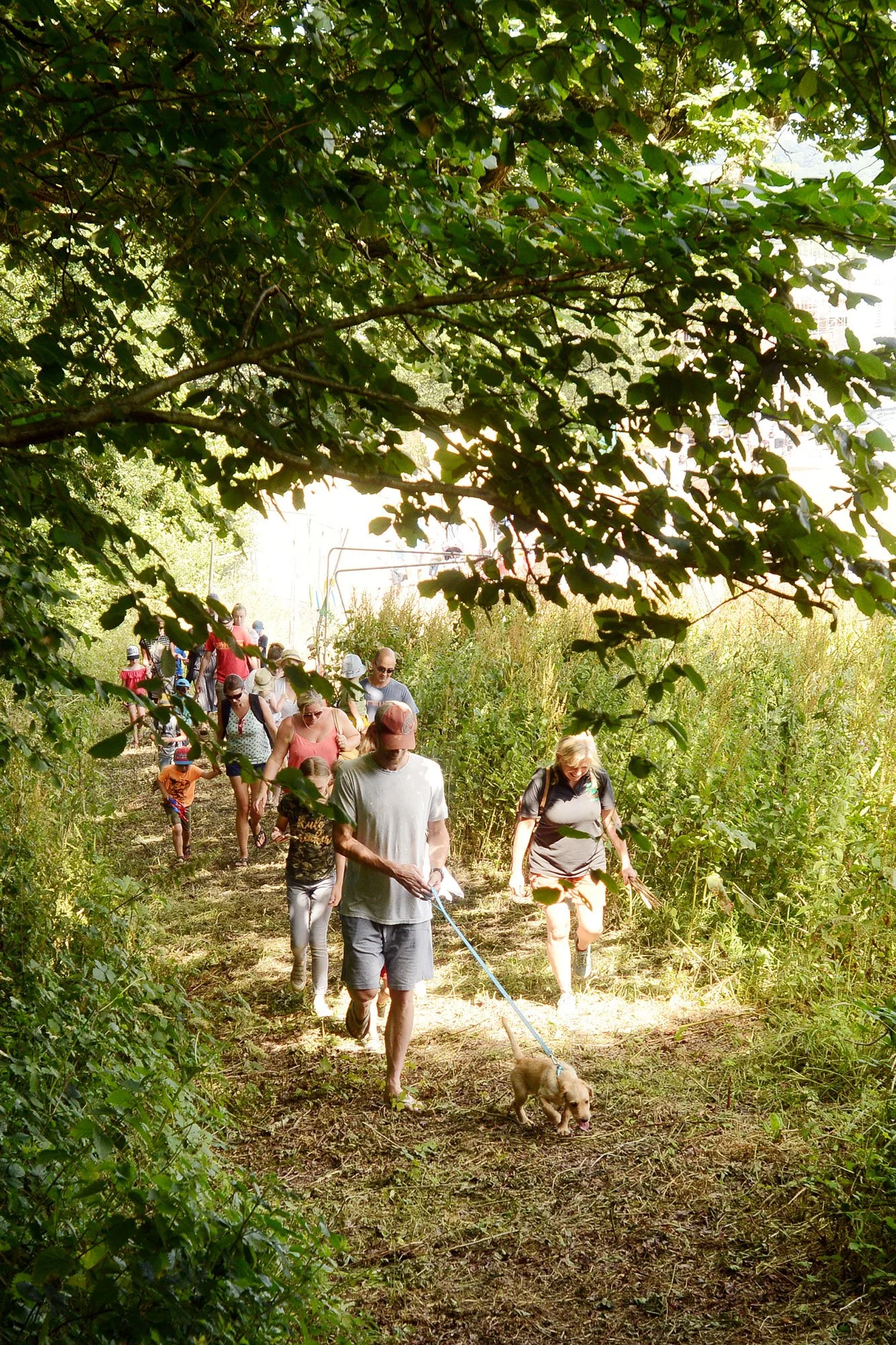 People walking through a wooded path during daytime, some with children and dogs, surrounded by greenery and tall plants.
