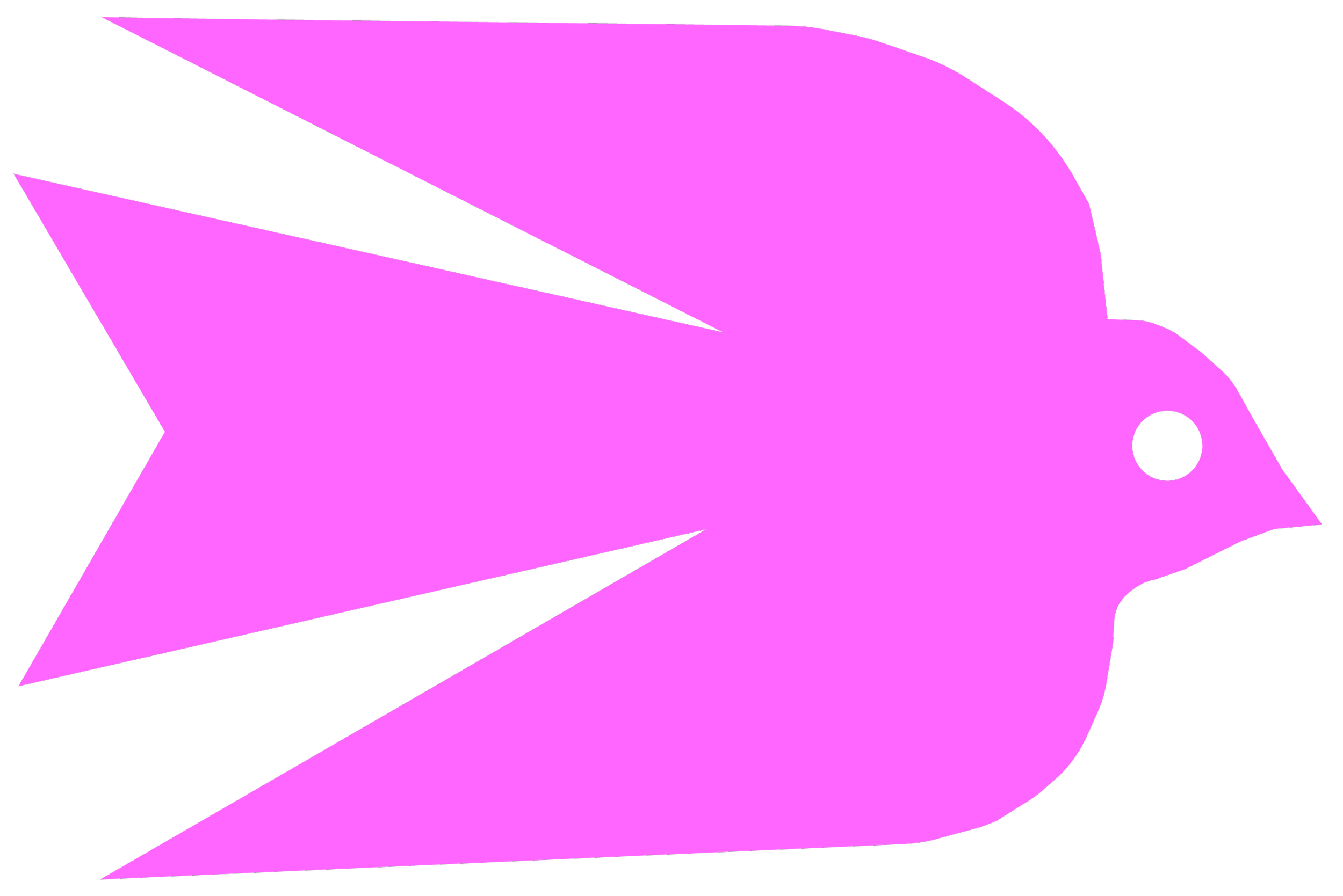 A pink bird with black tail feathers and an orange beak against a black background.