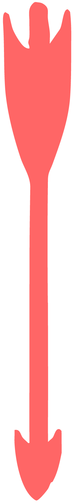 A pink flower with elongated petals.