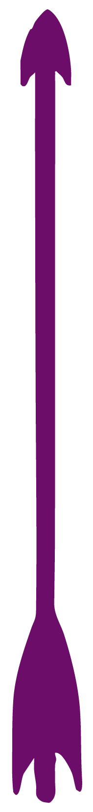 A purple rocket-shaped graphic pointing upward.