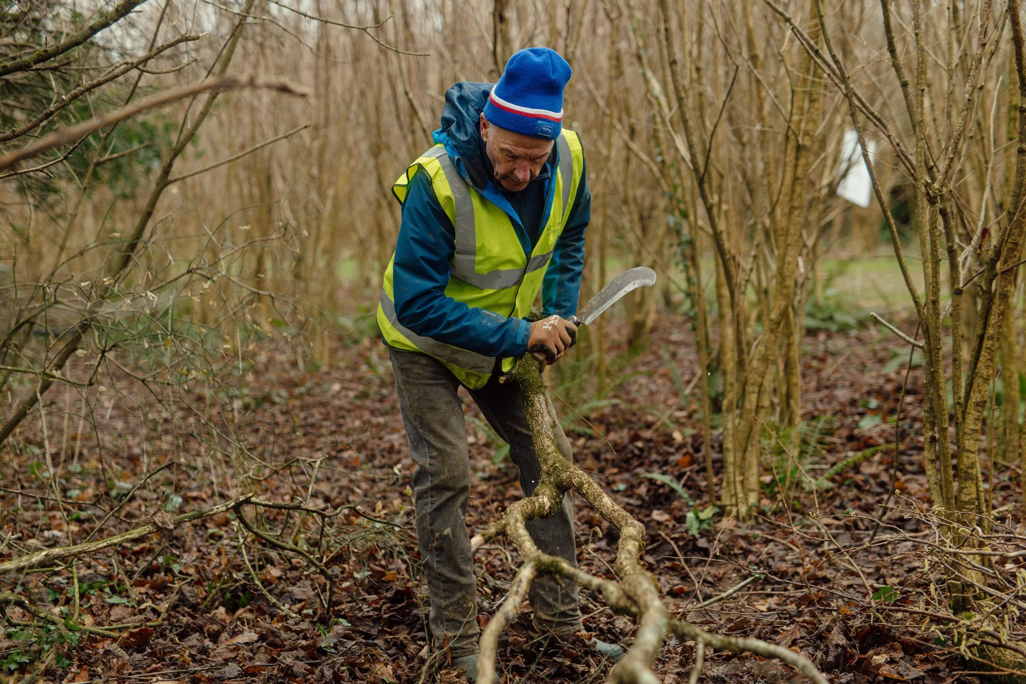 A man in a high visibility vest cutting a fallen tree branch with a machete in a wooded area.