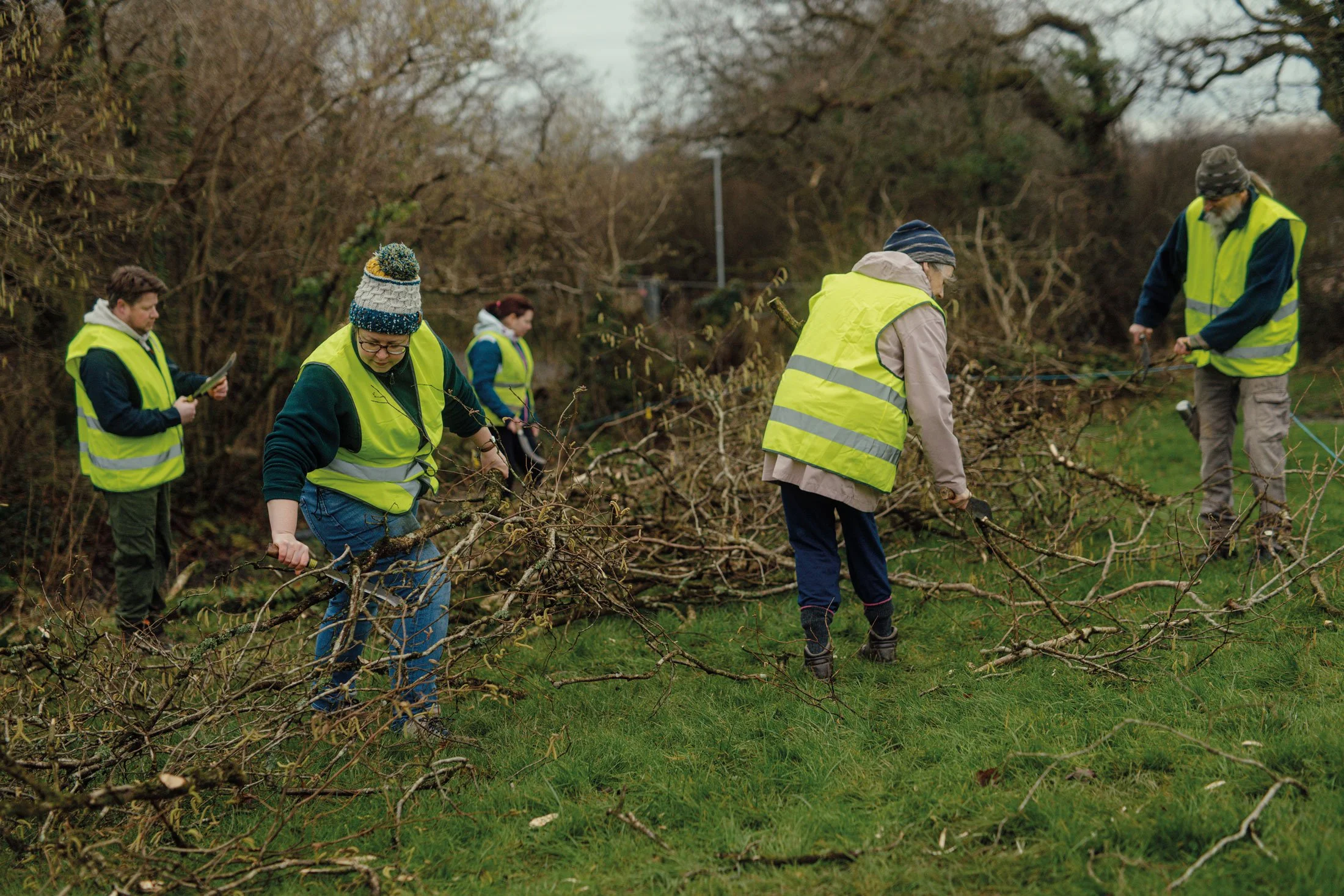 Group of people wearing yellow safety vests clearing fallen tree branches in a park or nature area.