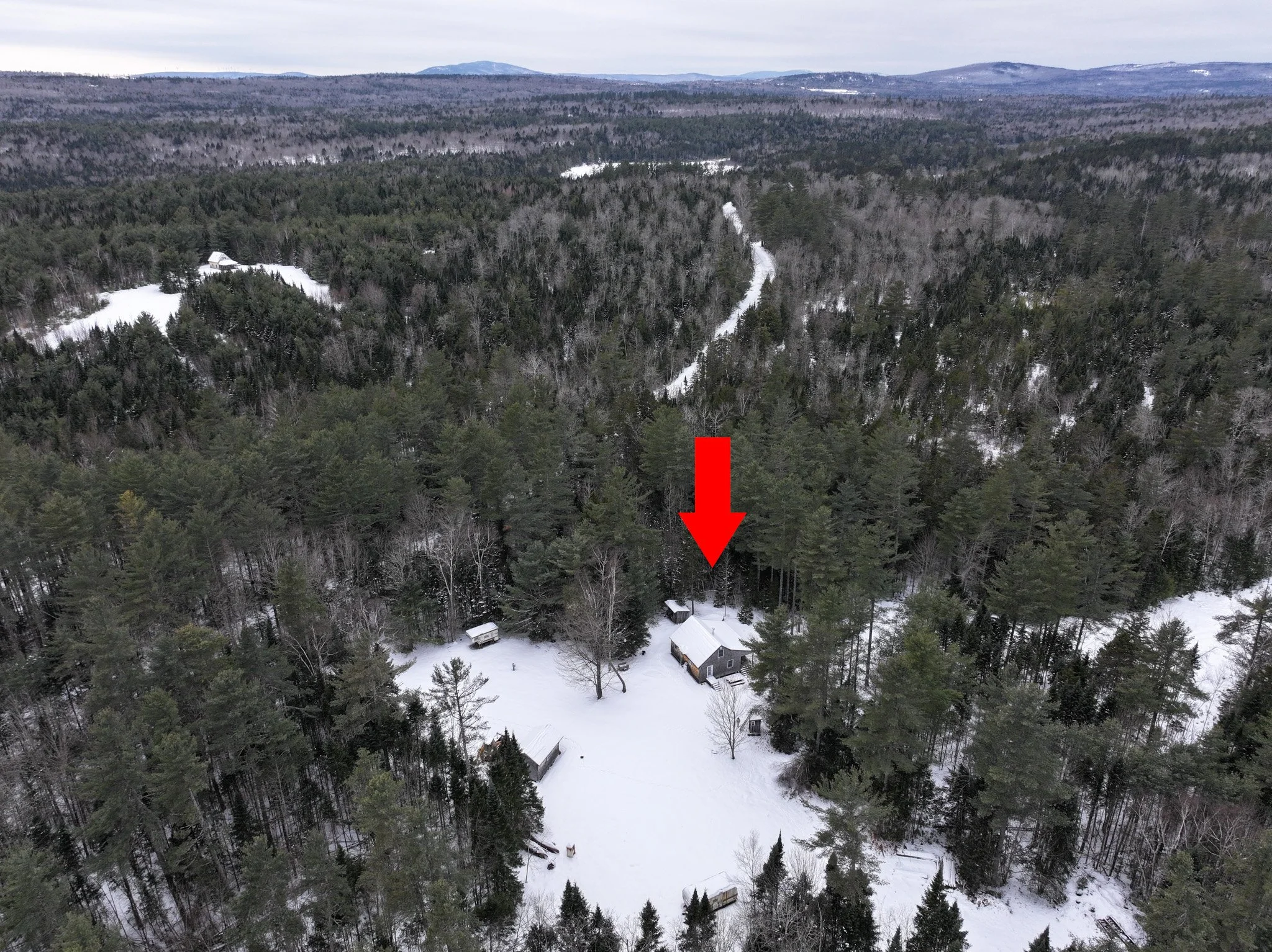 Website Edited-023.jpg