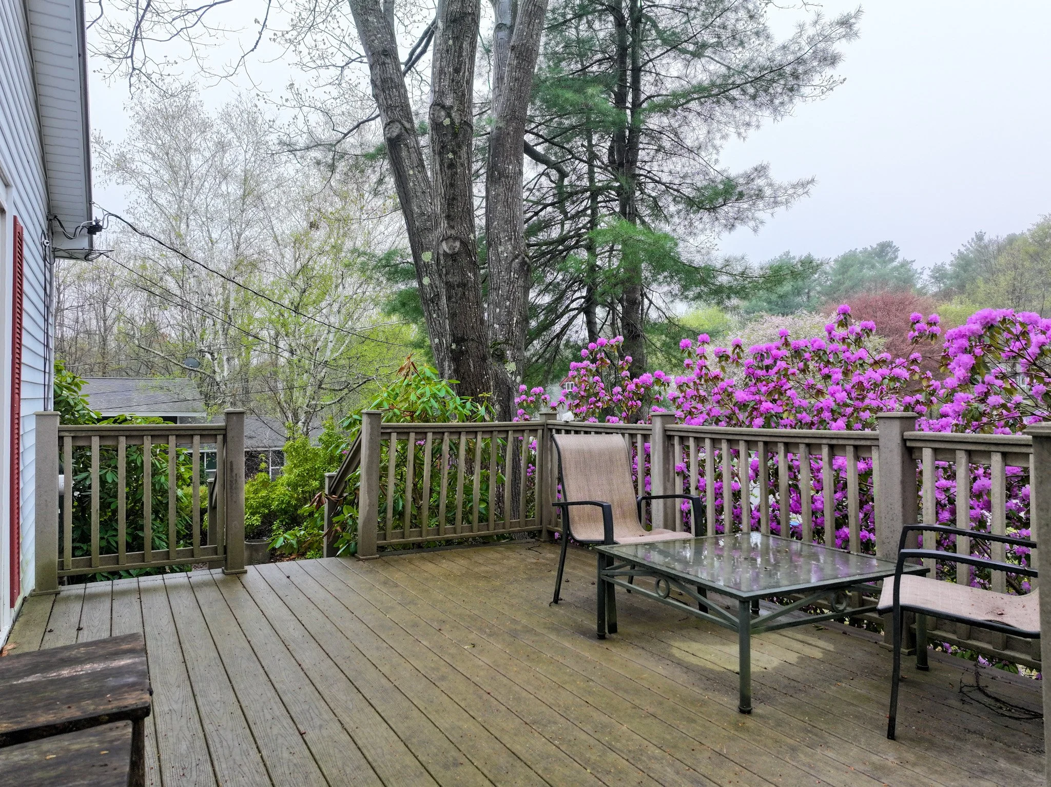 Website Edited-050.jpg