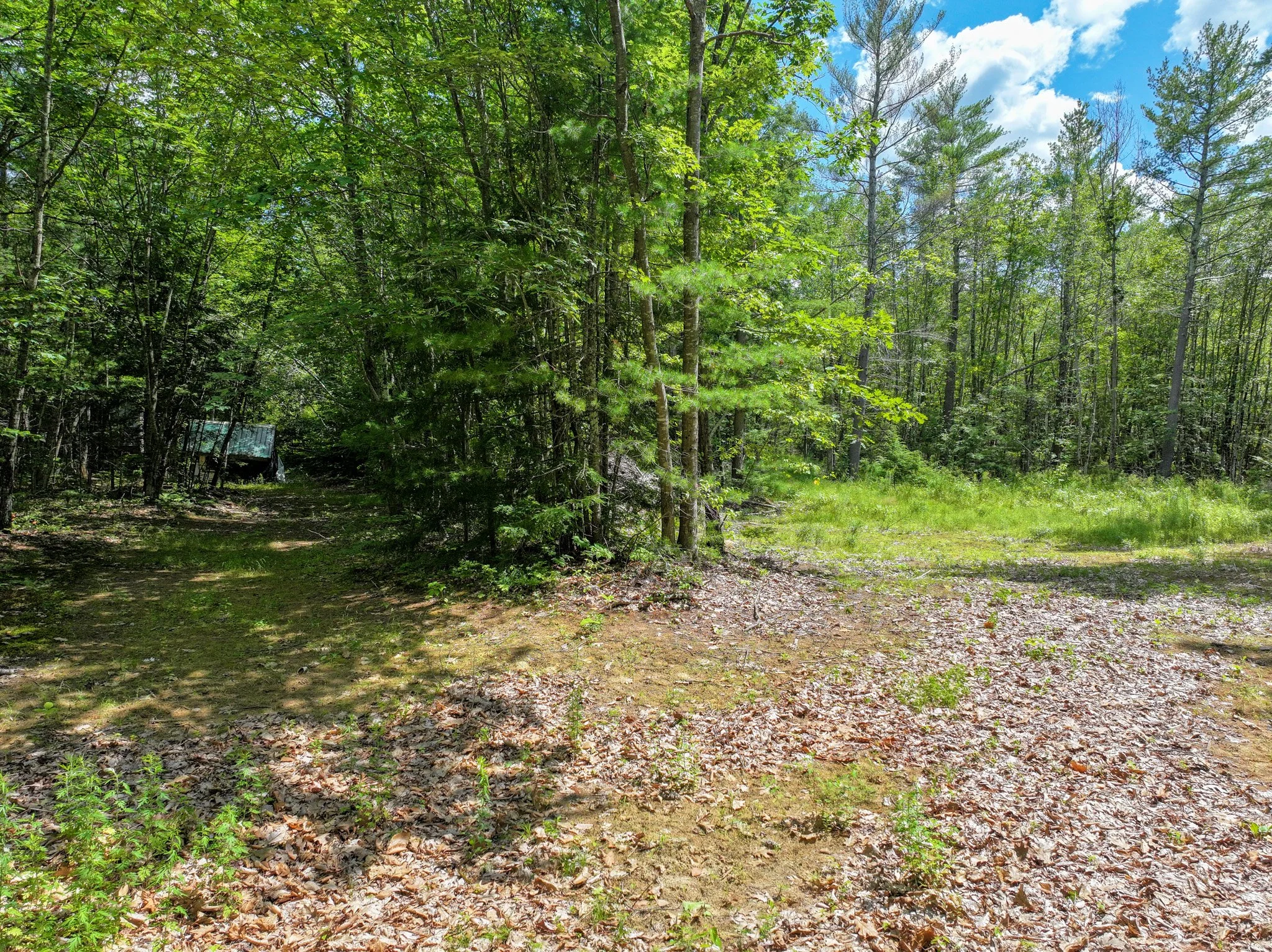 Website Edited-091.jpg