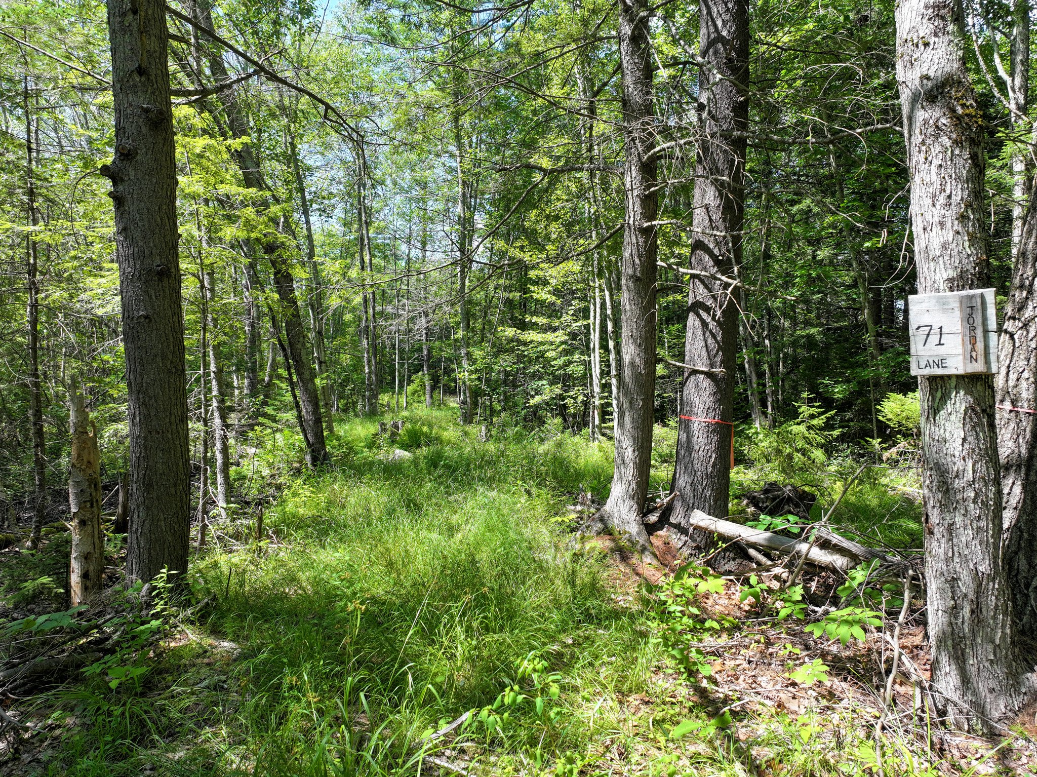 Website Edited-097.jpg