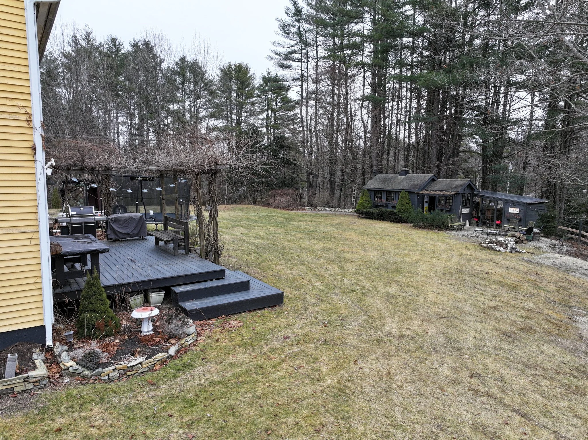 Website Edited-004.jpg