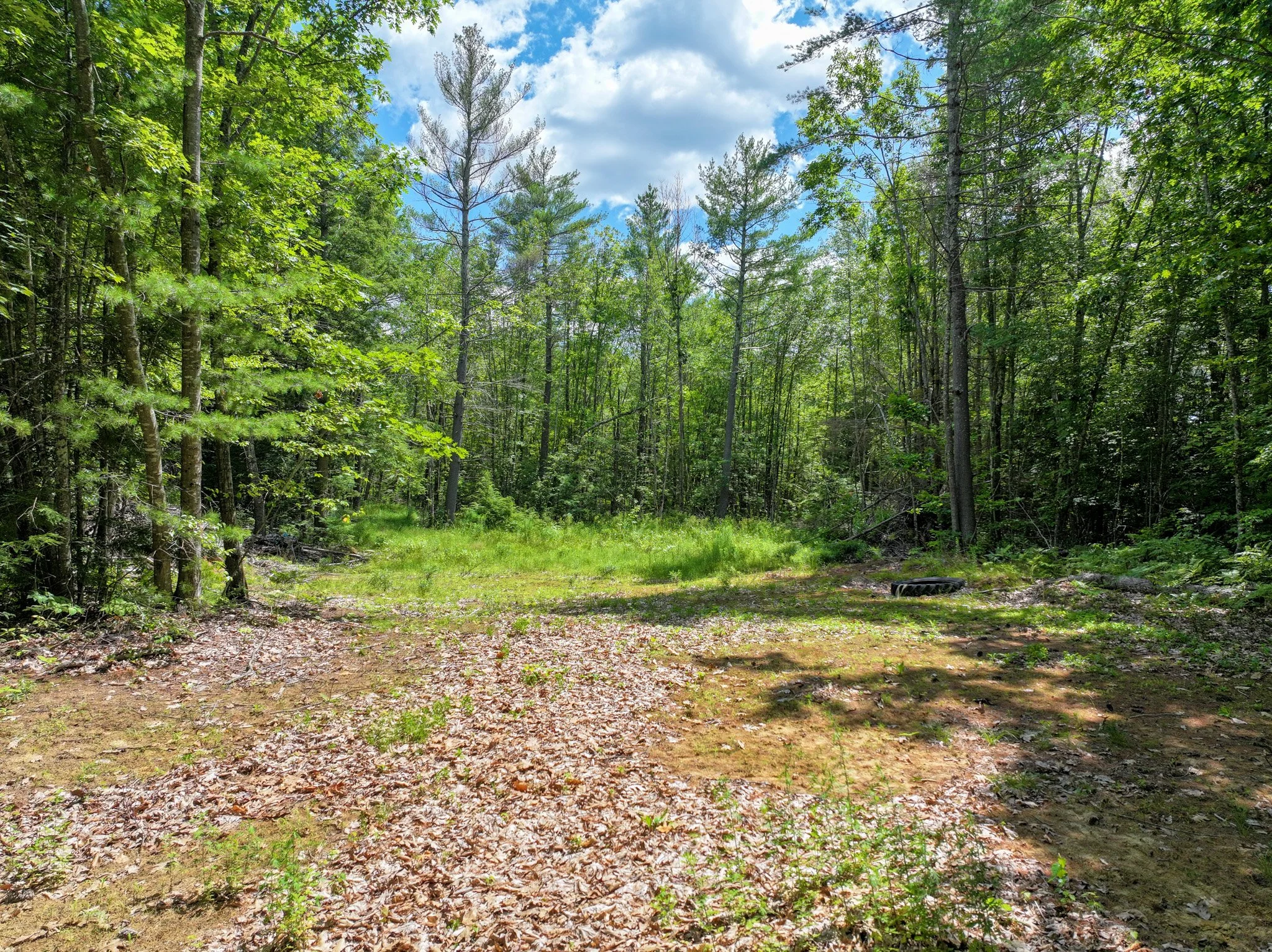 Website Edited-089.jpg