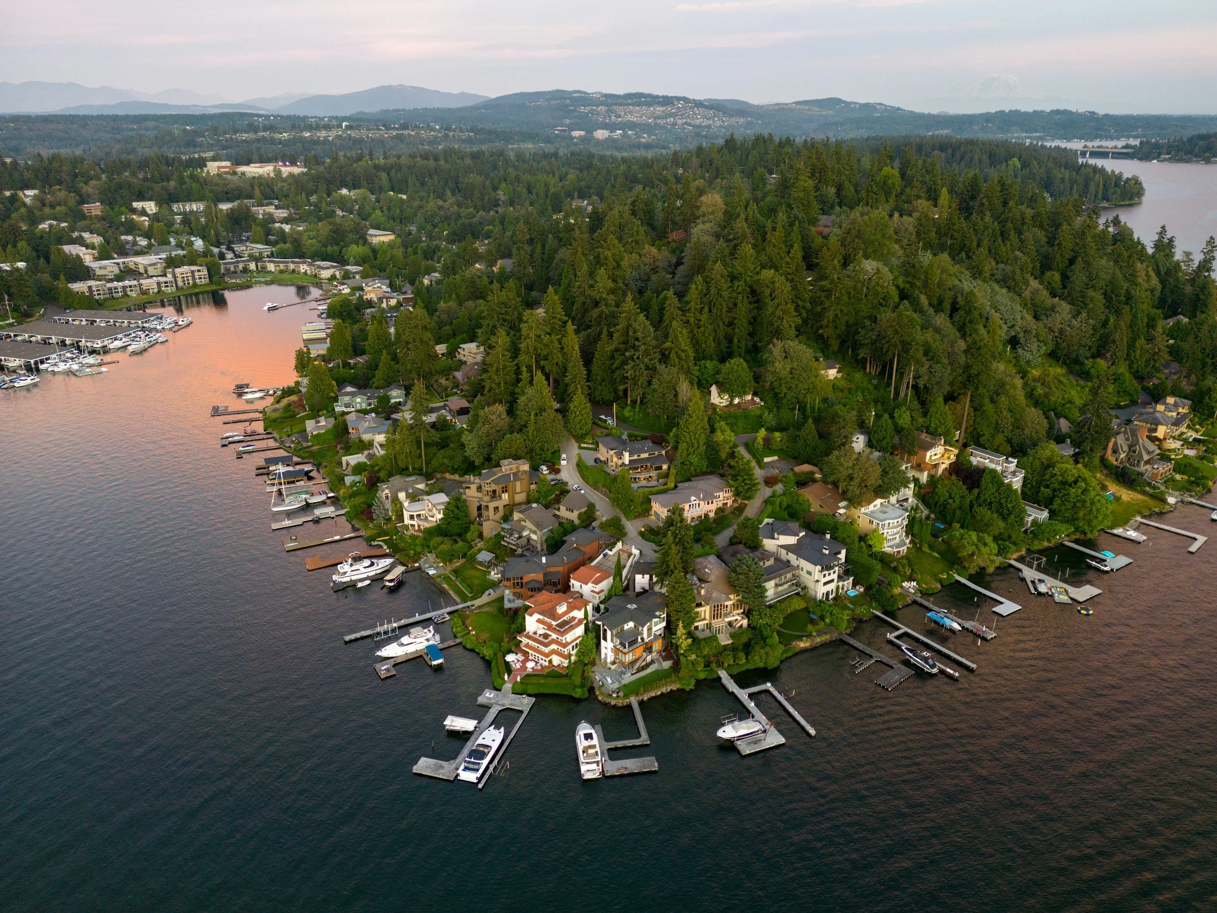 Aerial view of Alabama lakefront neighborhood featured in real estate listings.