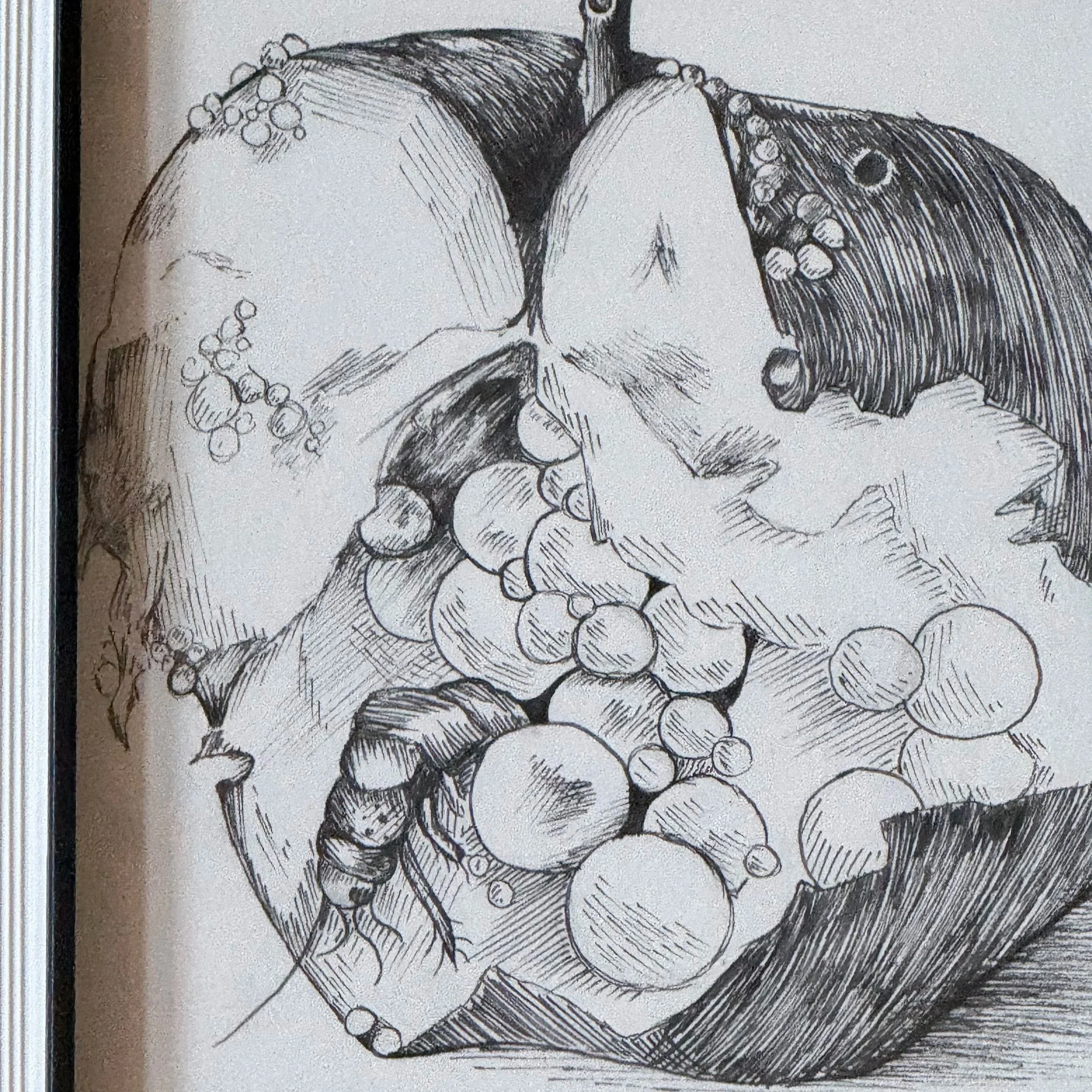 "Forbidden Fruit"