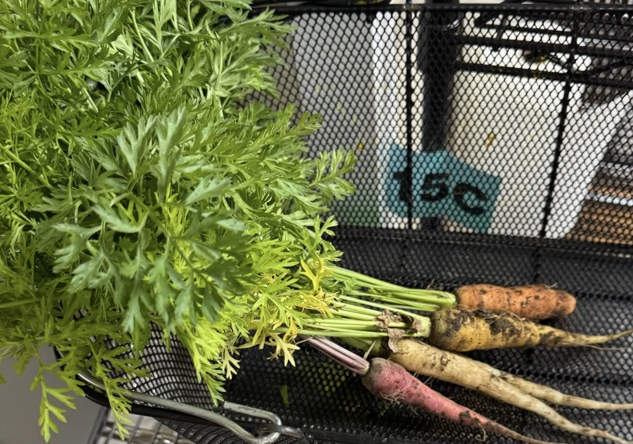 Spring CSA Share - Individual Share