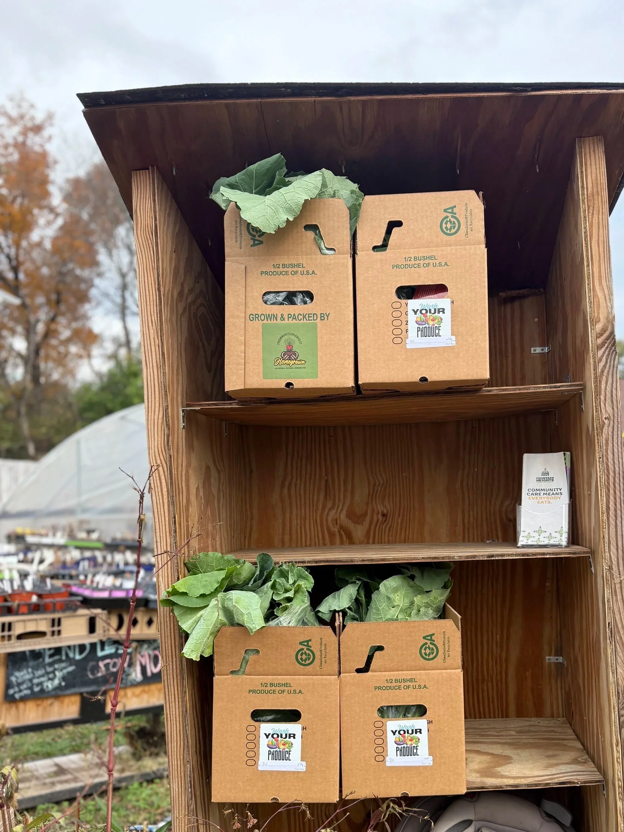 Spring CSA Share - Family Share