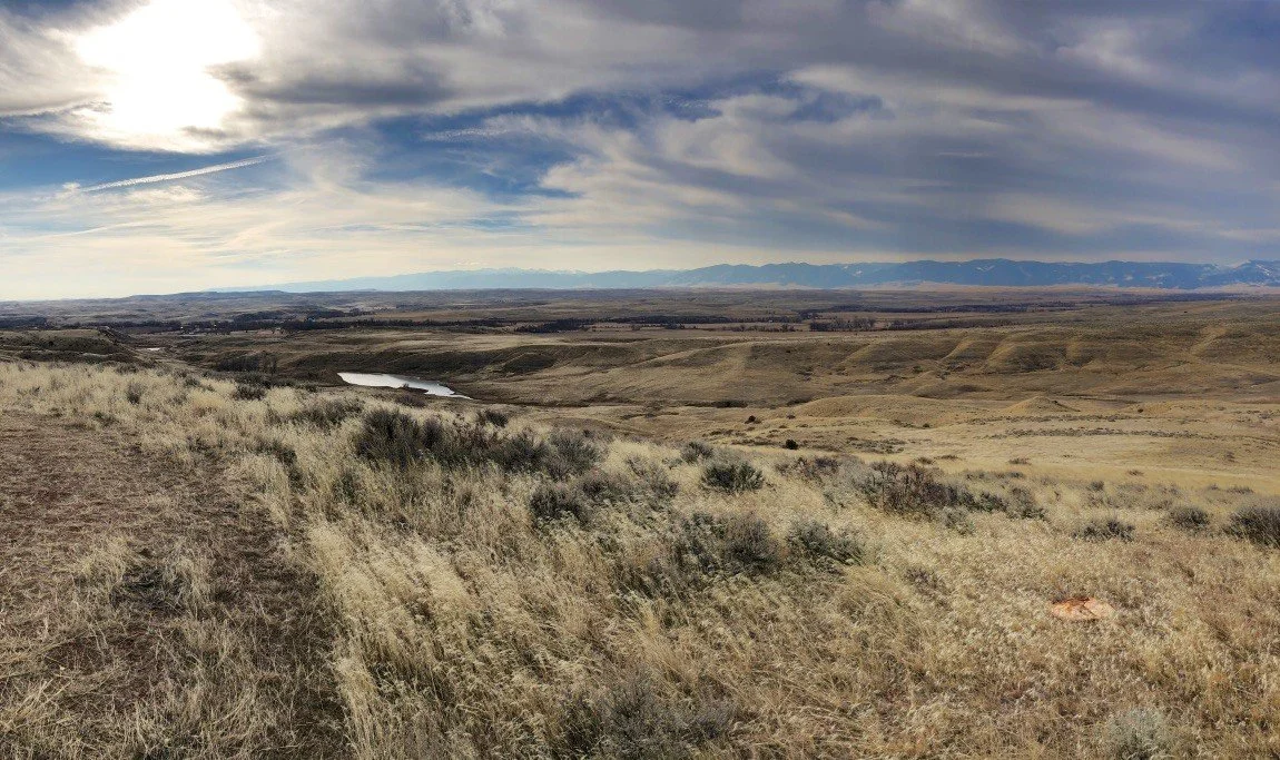 MINING.COM: Mulberry Industries, Ramaco Resources enter rare earth offtake MOU for Brook mine