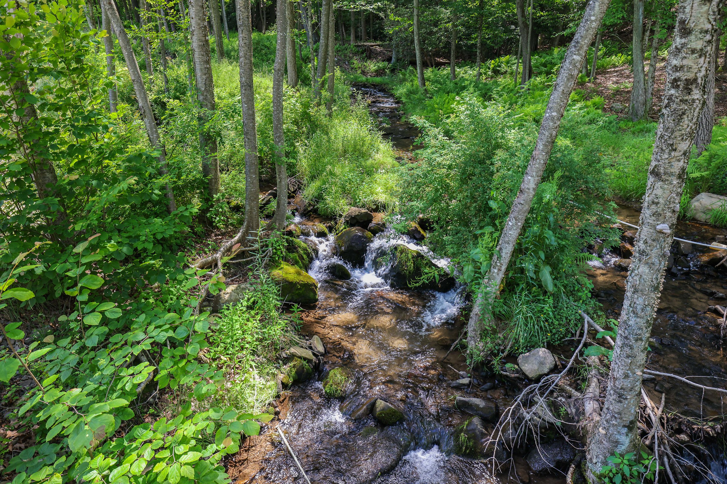stream