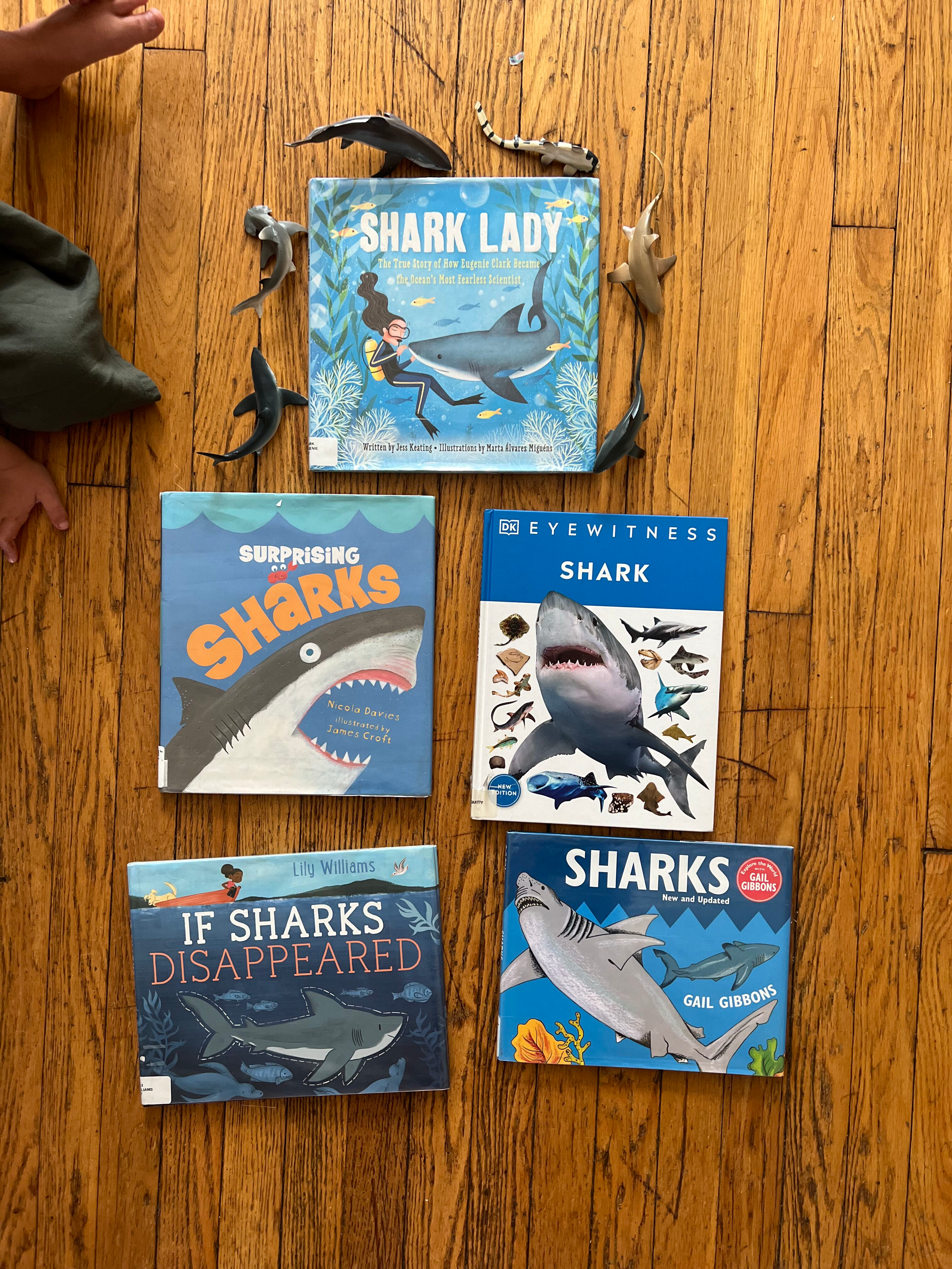 picture books about sharks