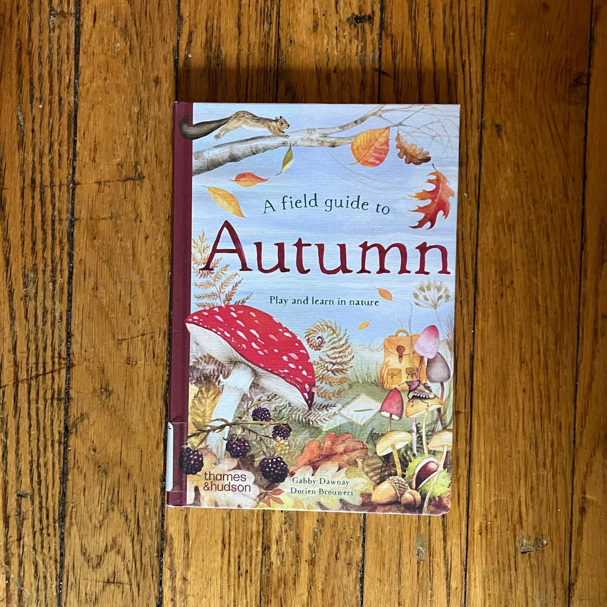 A Field Guide to Autumn children's book