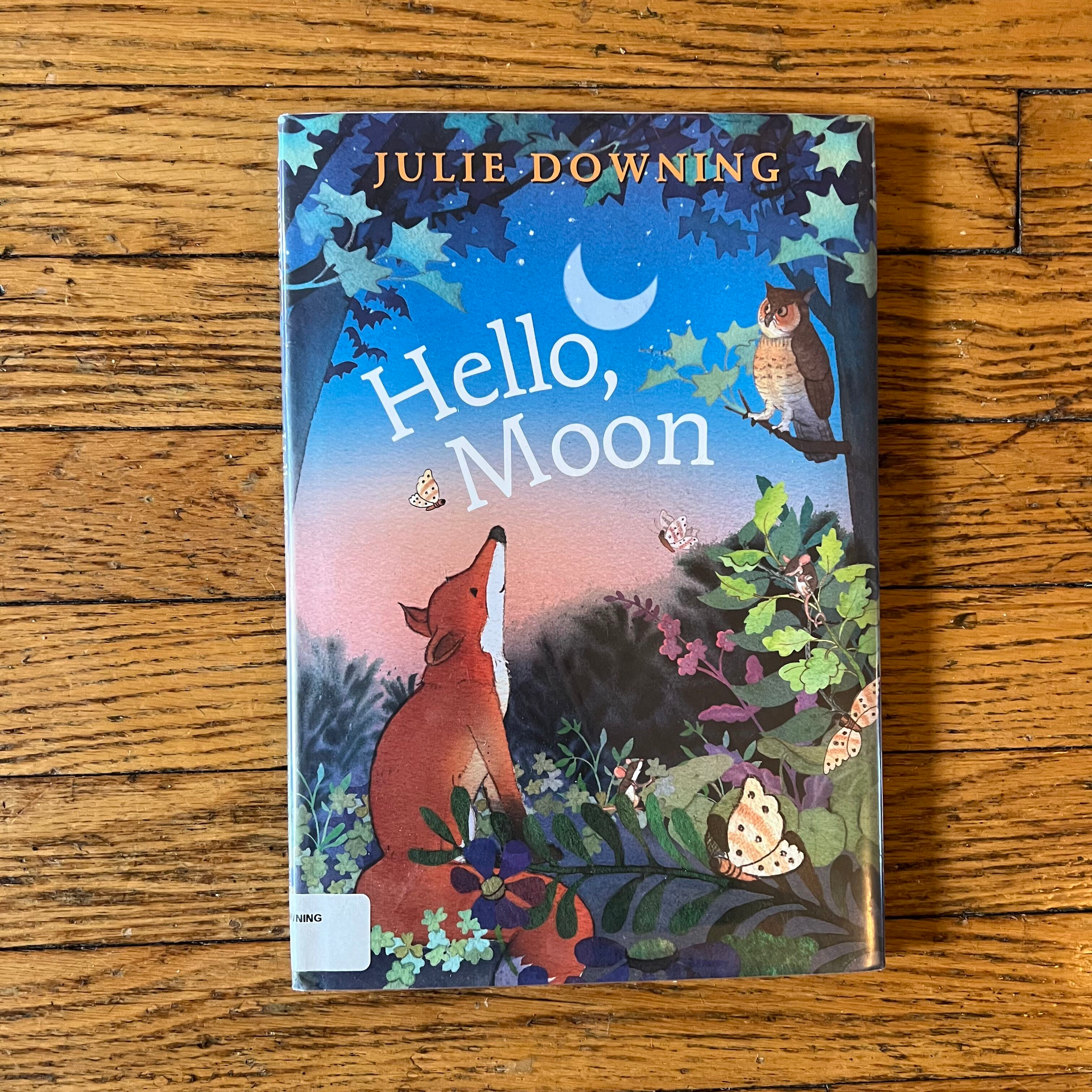 Hello Moon children's book