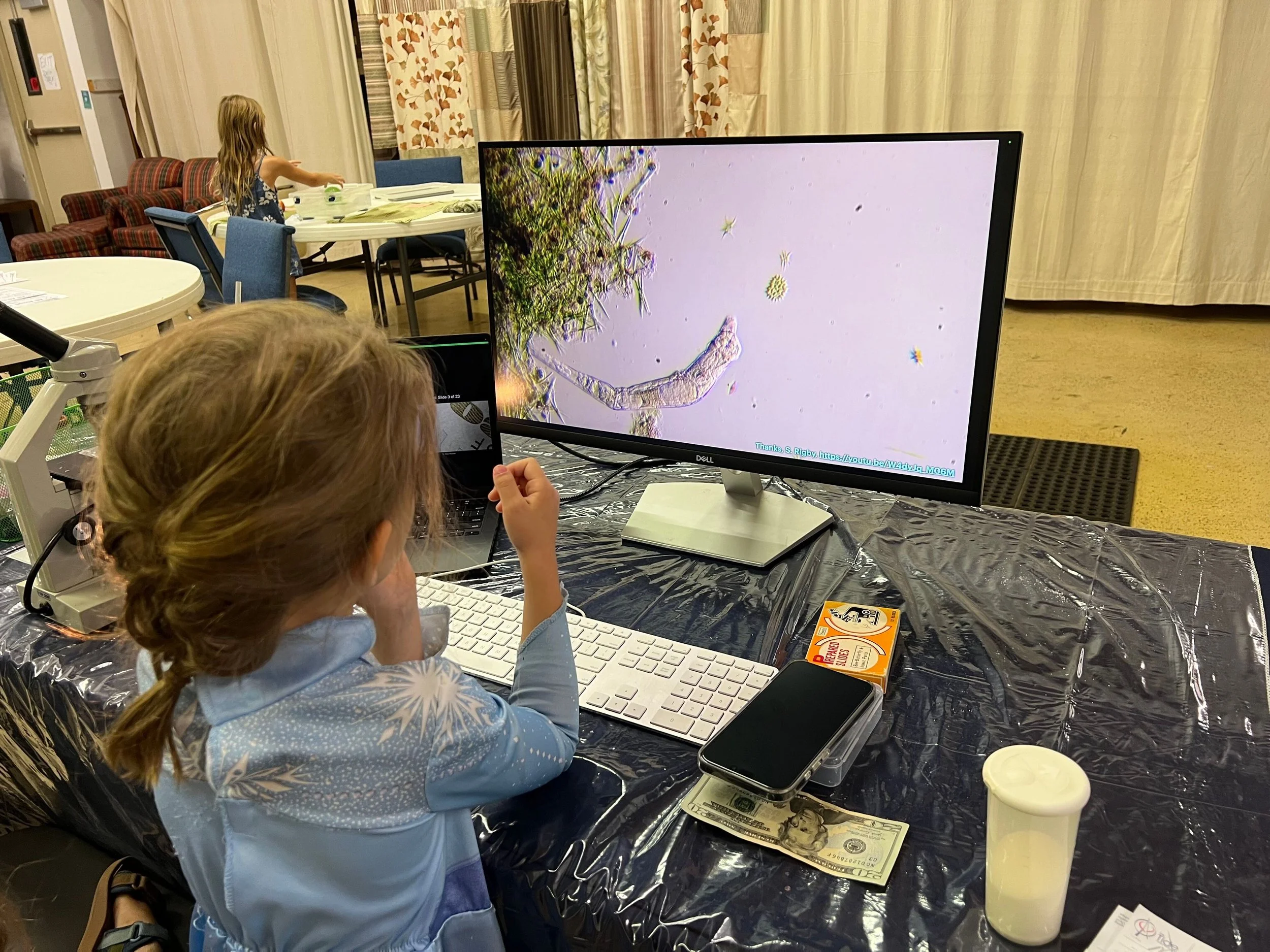 child looking at a microscopic view on an desktop