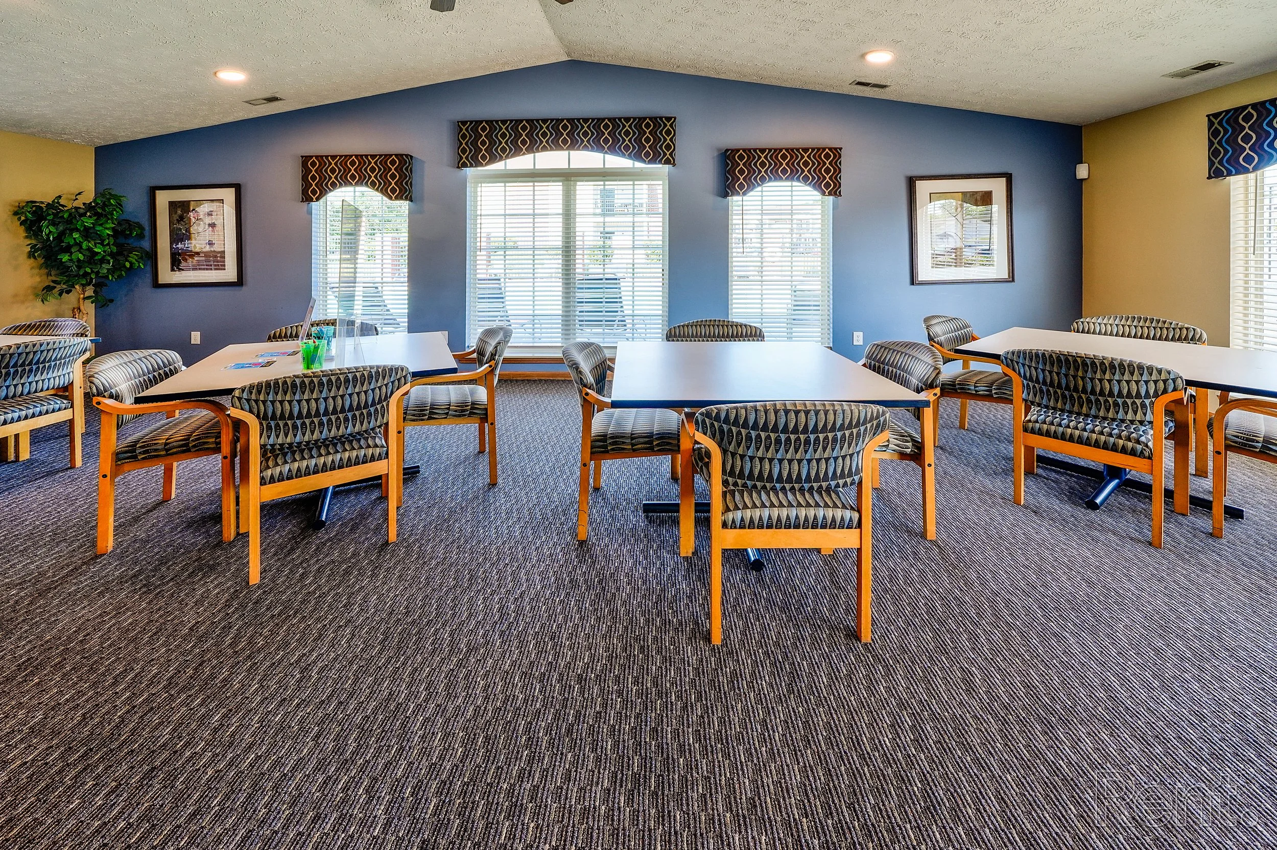 A brightly lit conference or dining room with five tables surrounded by patterned chairs, three large windows with blinds, framed artwork, potted plant, and a blue accent wall.