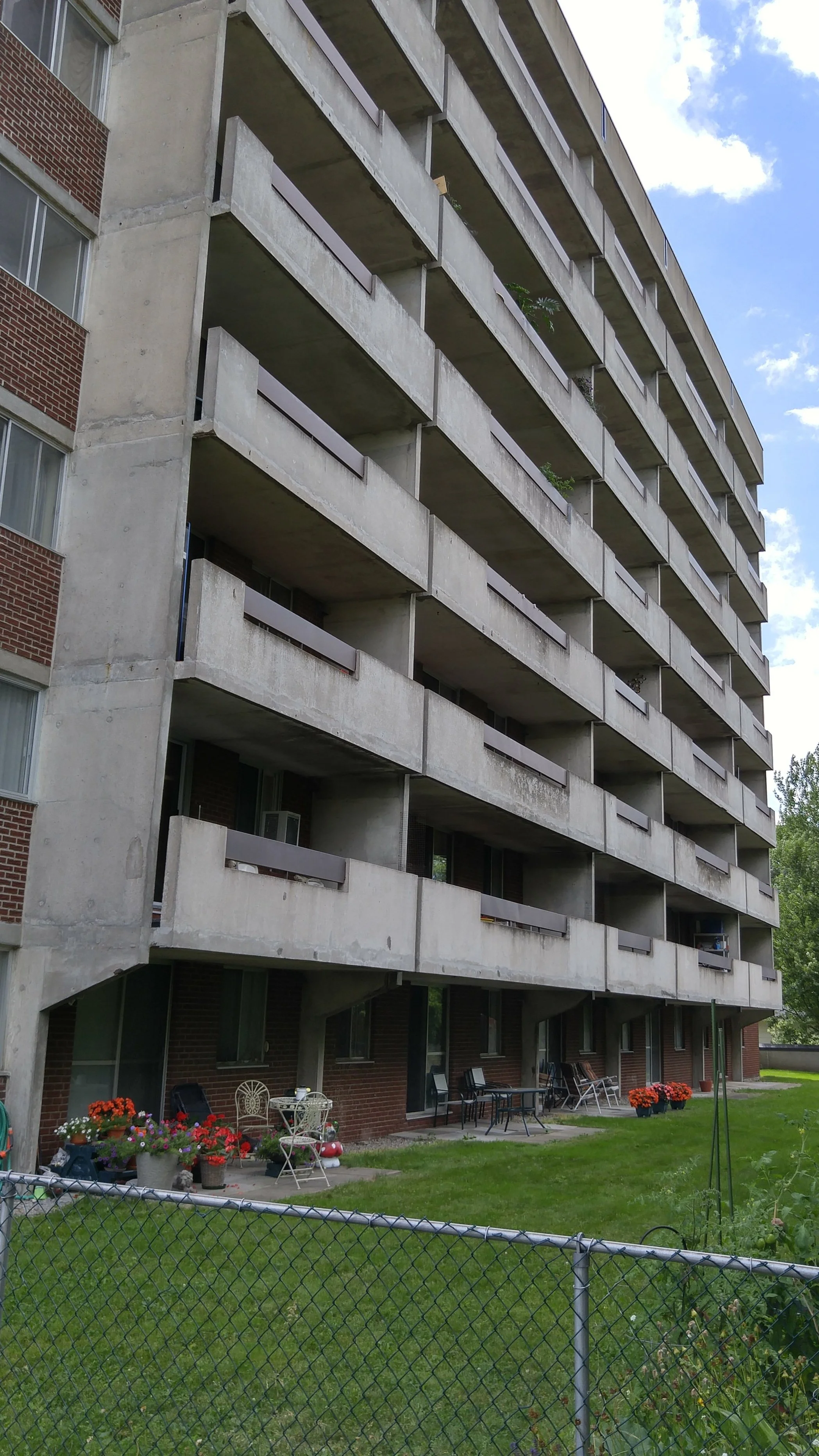Backyard of Palm Gate Apartments