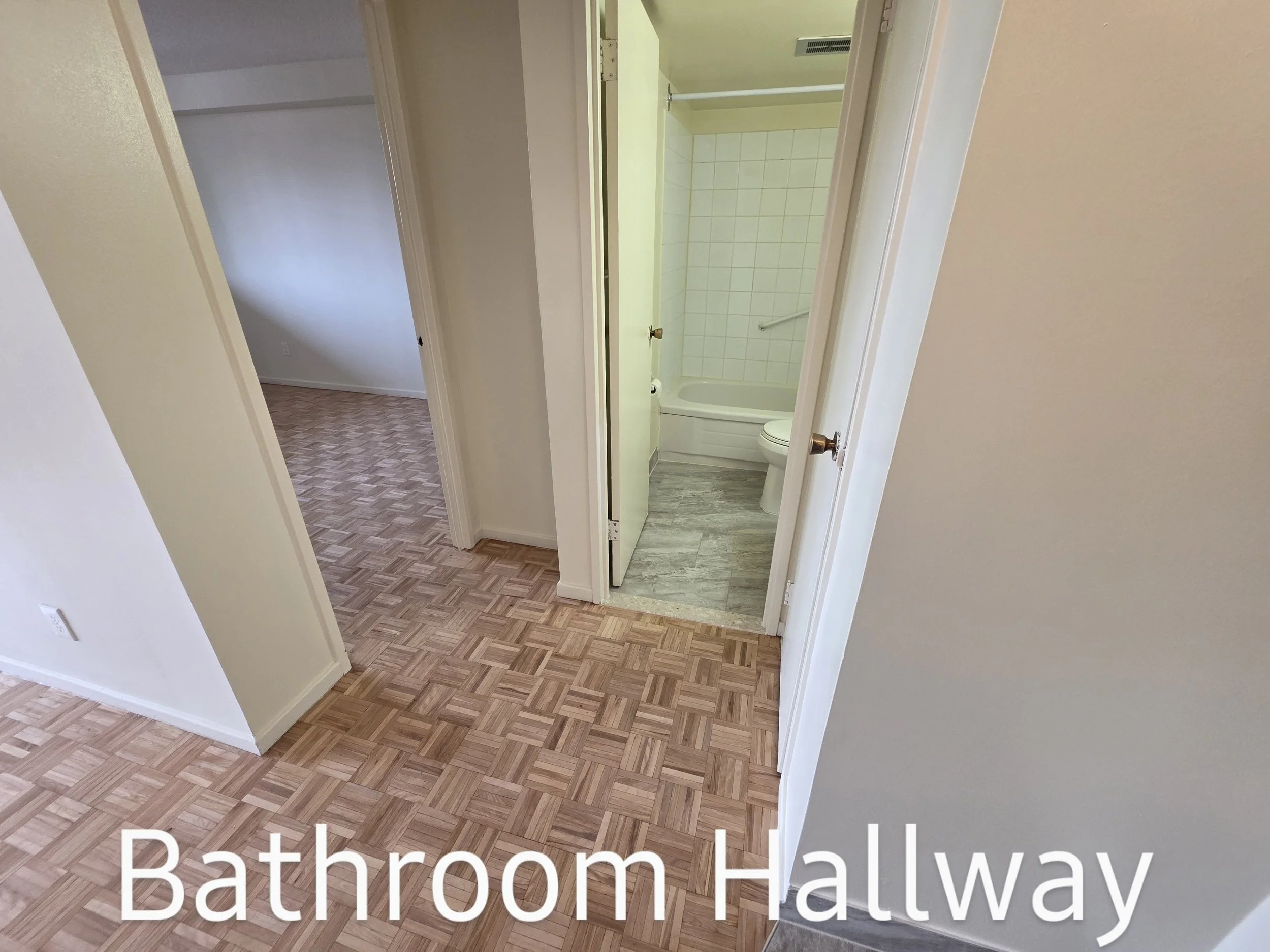 Large 1 Bedroom Bathroom