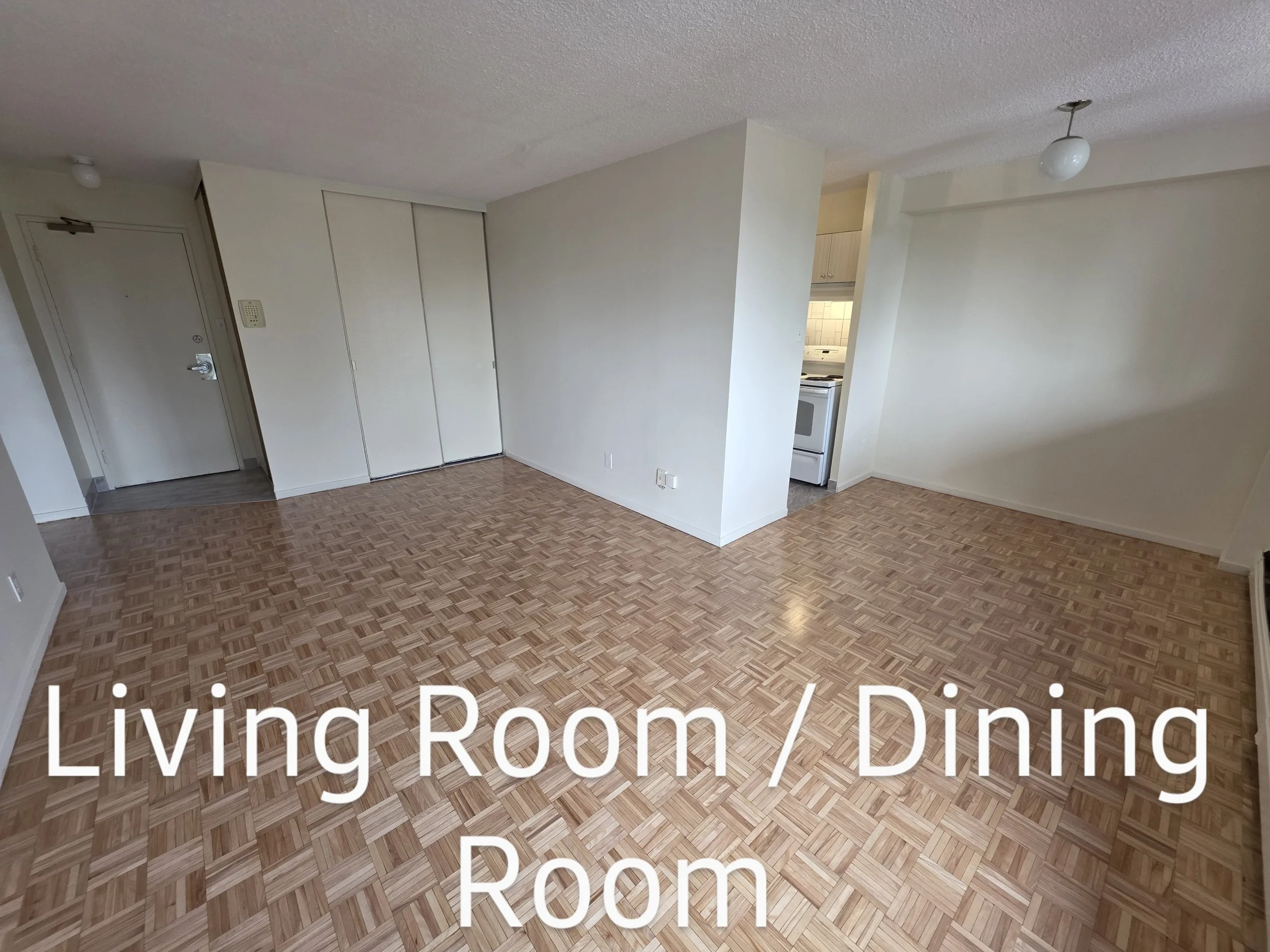 Large 1 Bedroom Living Room