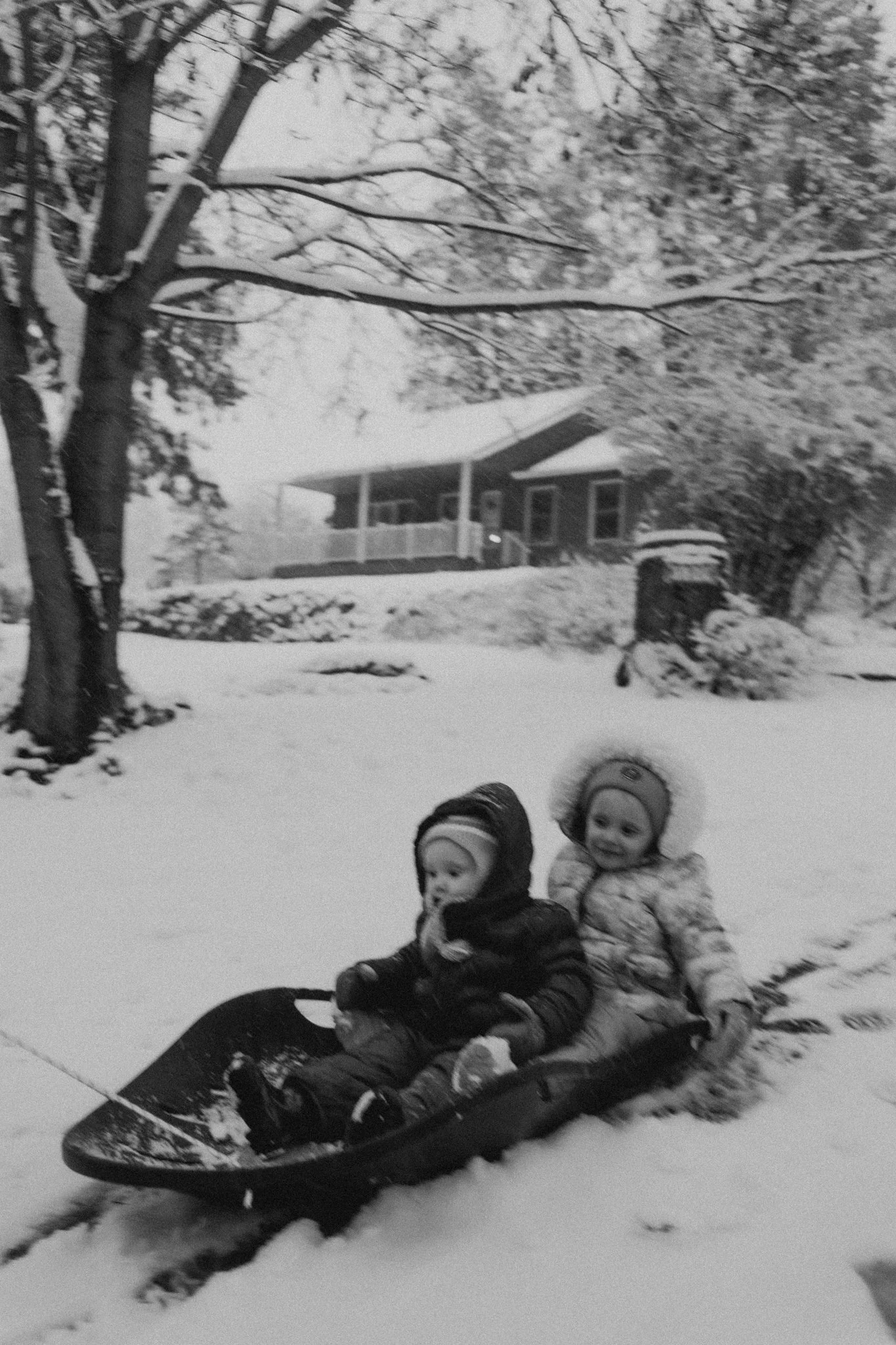 march 13, 2026-7.jpg