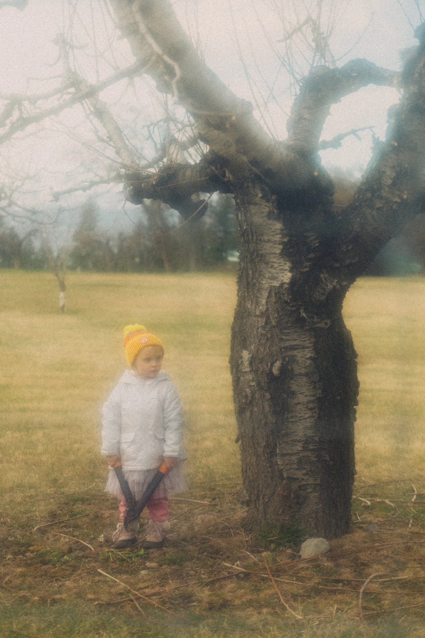 march 30, 2026-3.jpg