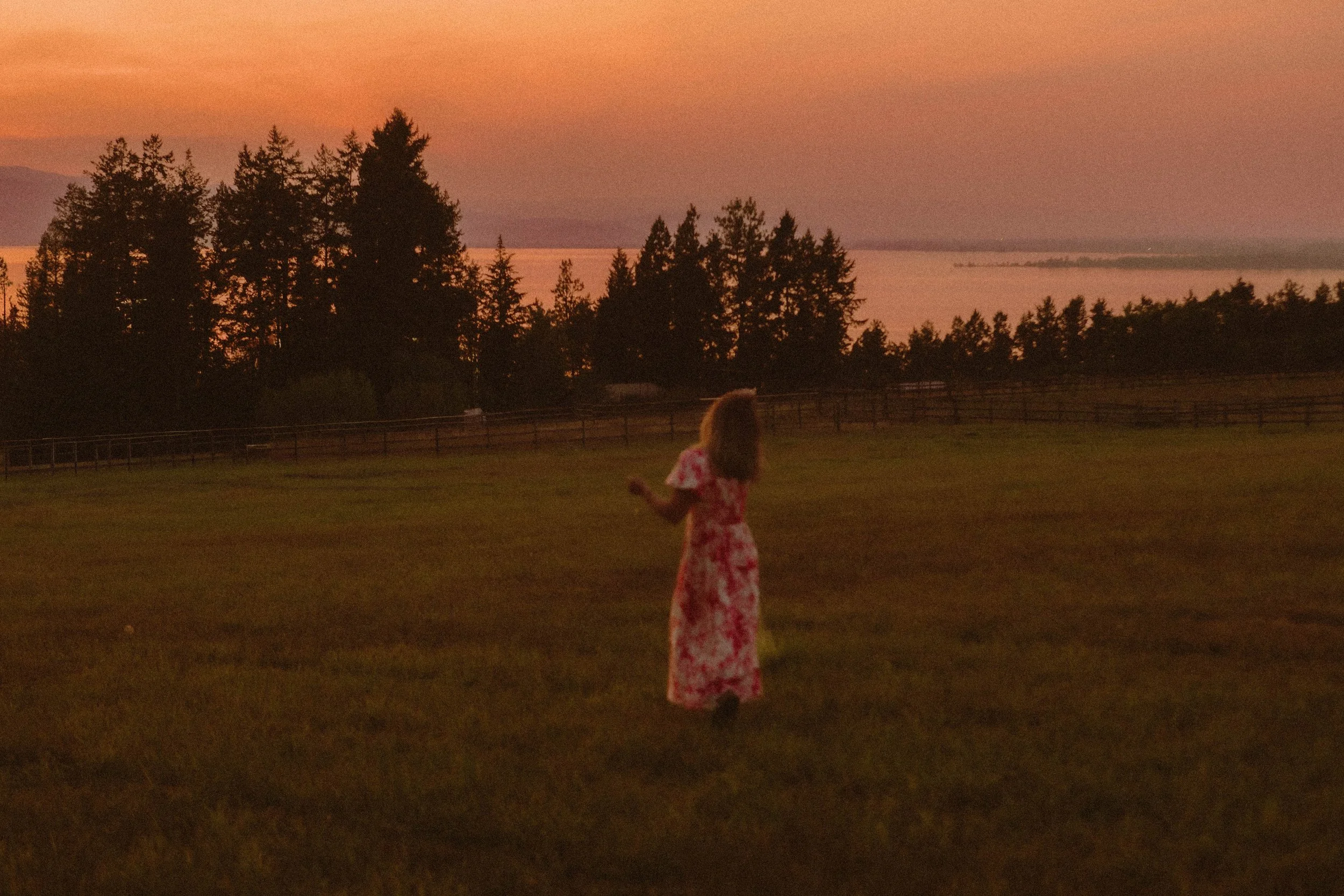 A woman in a pink floral dress standing on a grassy field at sunset, with trees, a fence, and a body of water in the background.