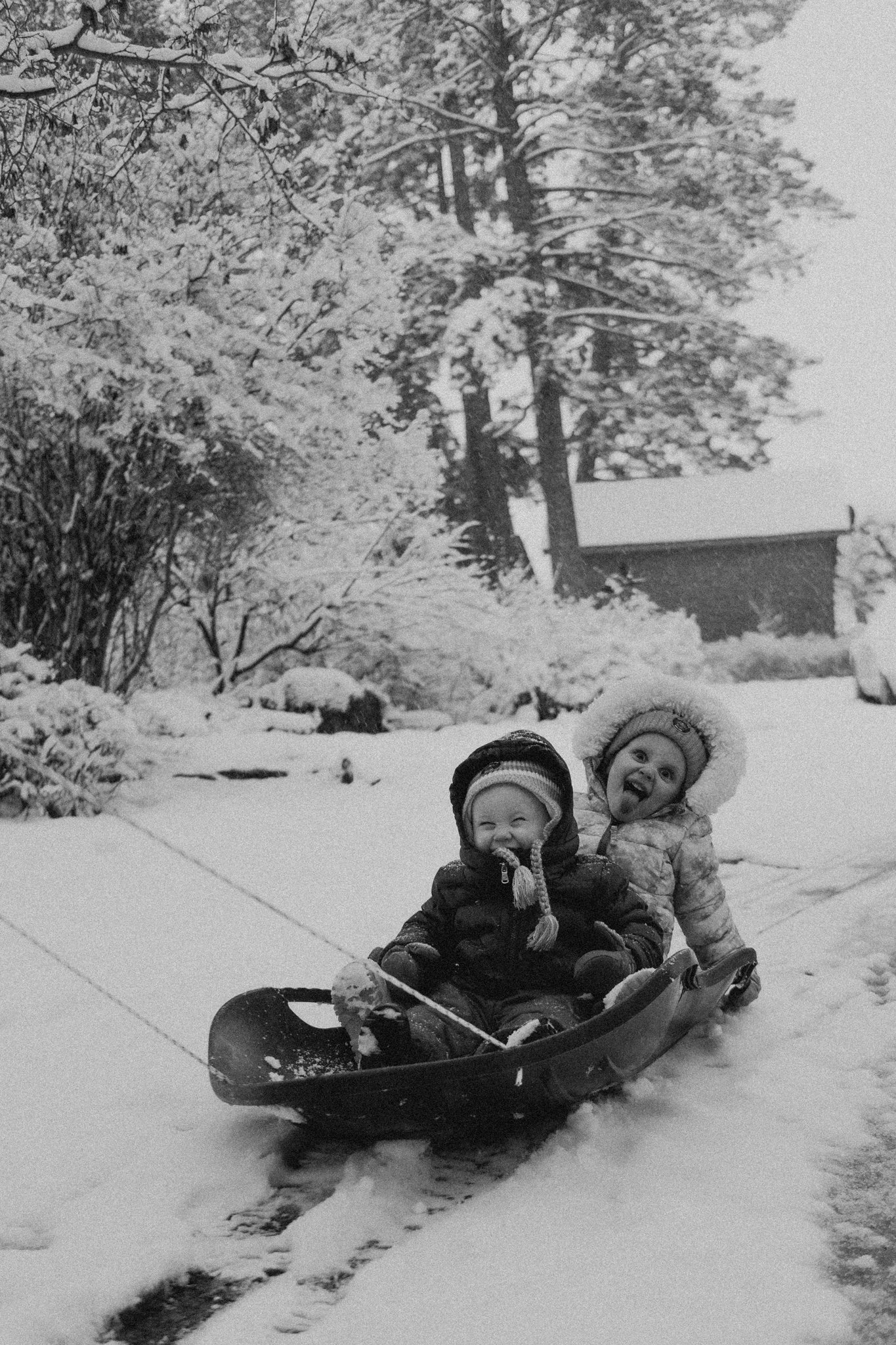 march 13, 2026-6.jpg