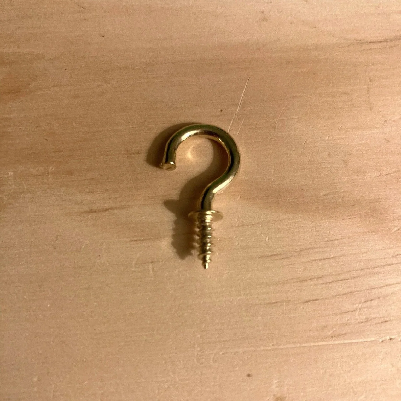 Brass+Hook+2.jpg