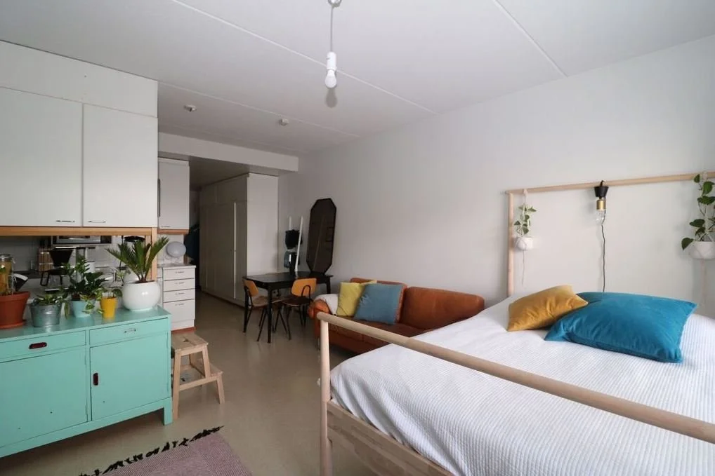 Studio avec un lit, un canapé en cuir orange, une table à manger avec des chaises, une unité de rangement turquoise avec des plantes, et un mur blanc décoré de plantes suspendues.