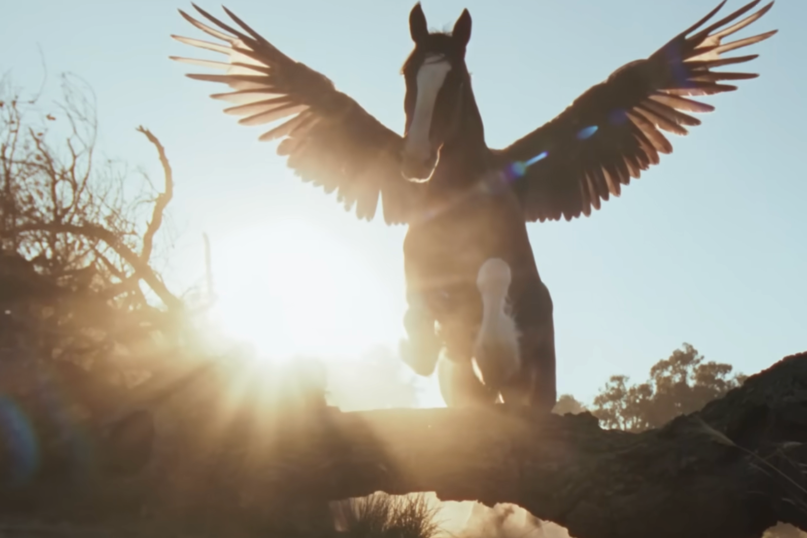 The People Have Spoken: Budweiser Tops USA Today Chart