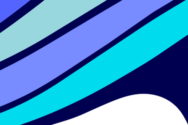 When AI Shops for You