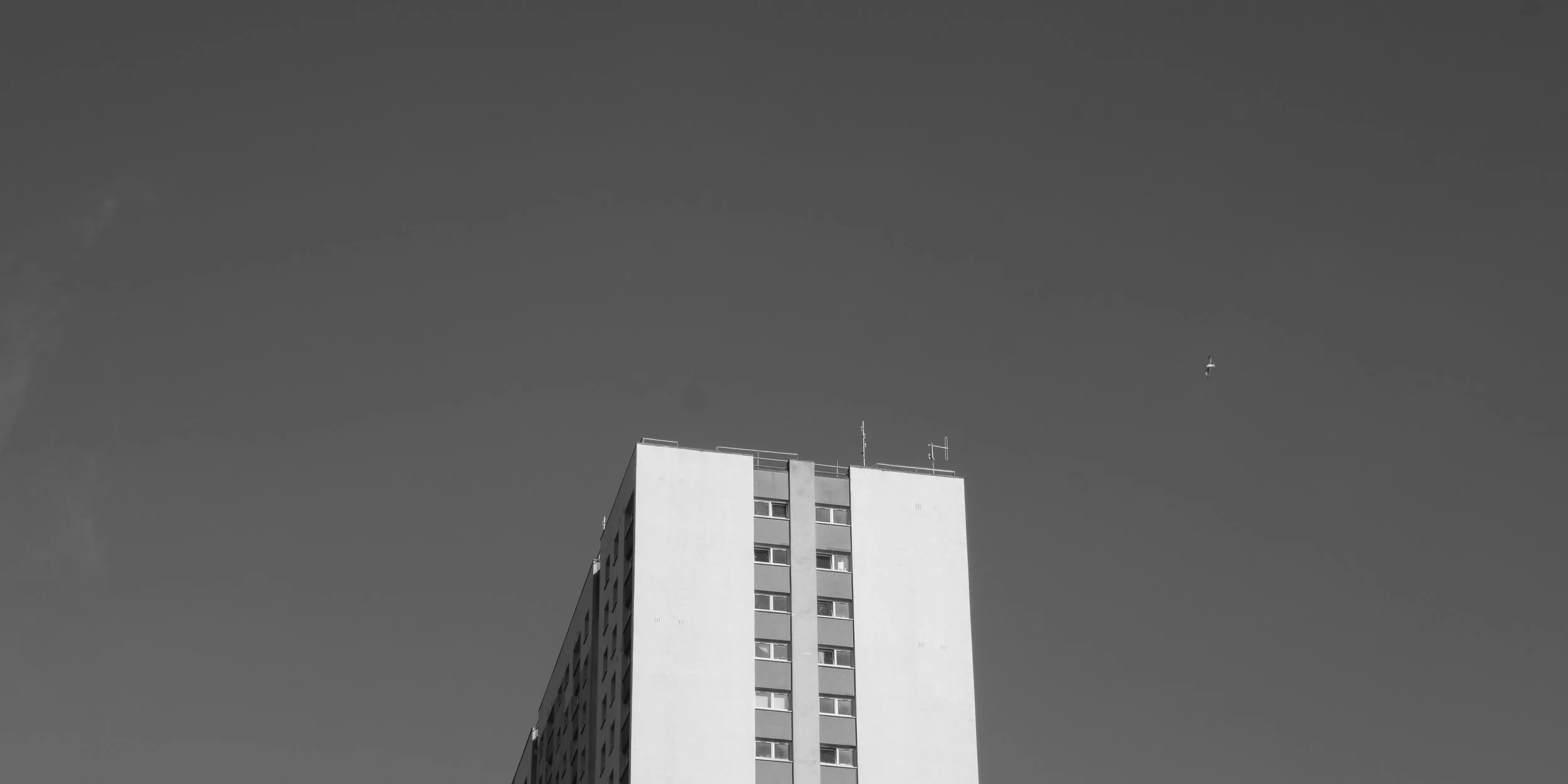 _DSF5039.jpg