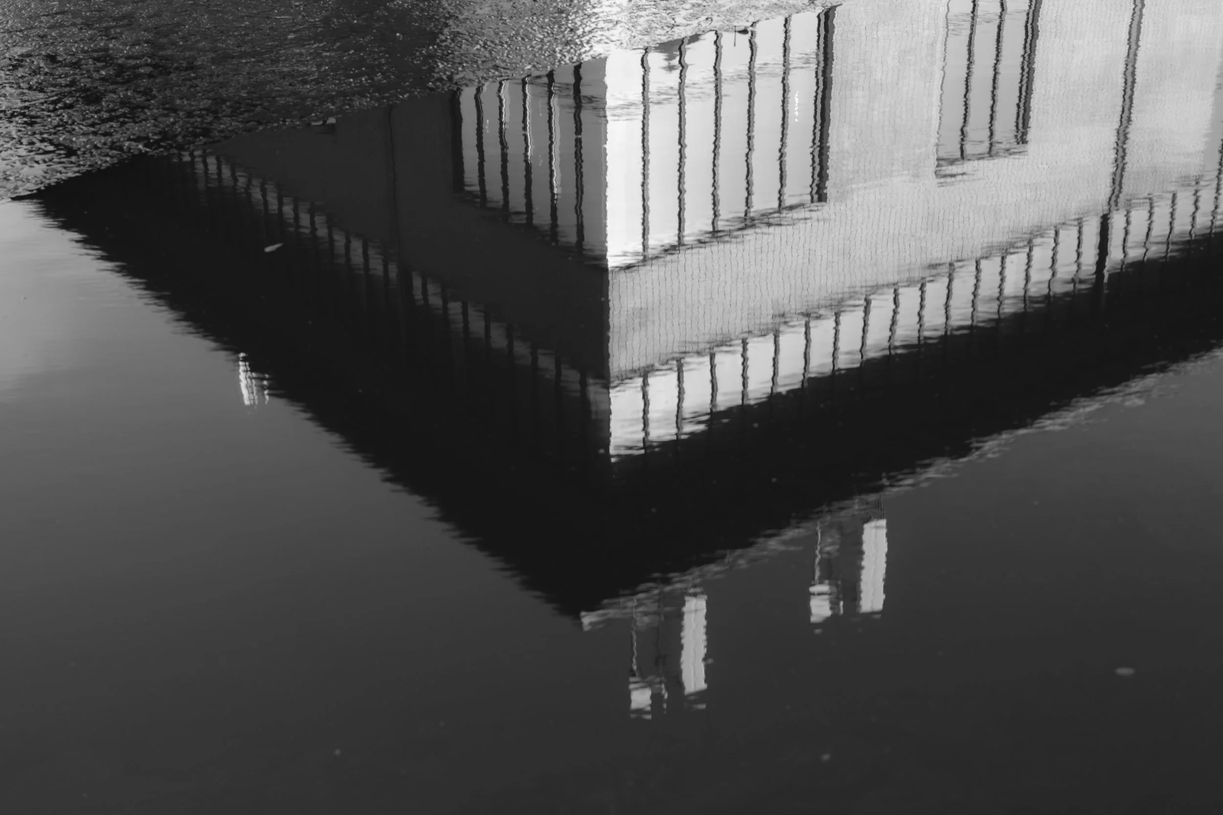 _DSF5048.jpg
