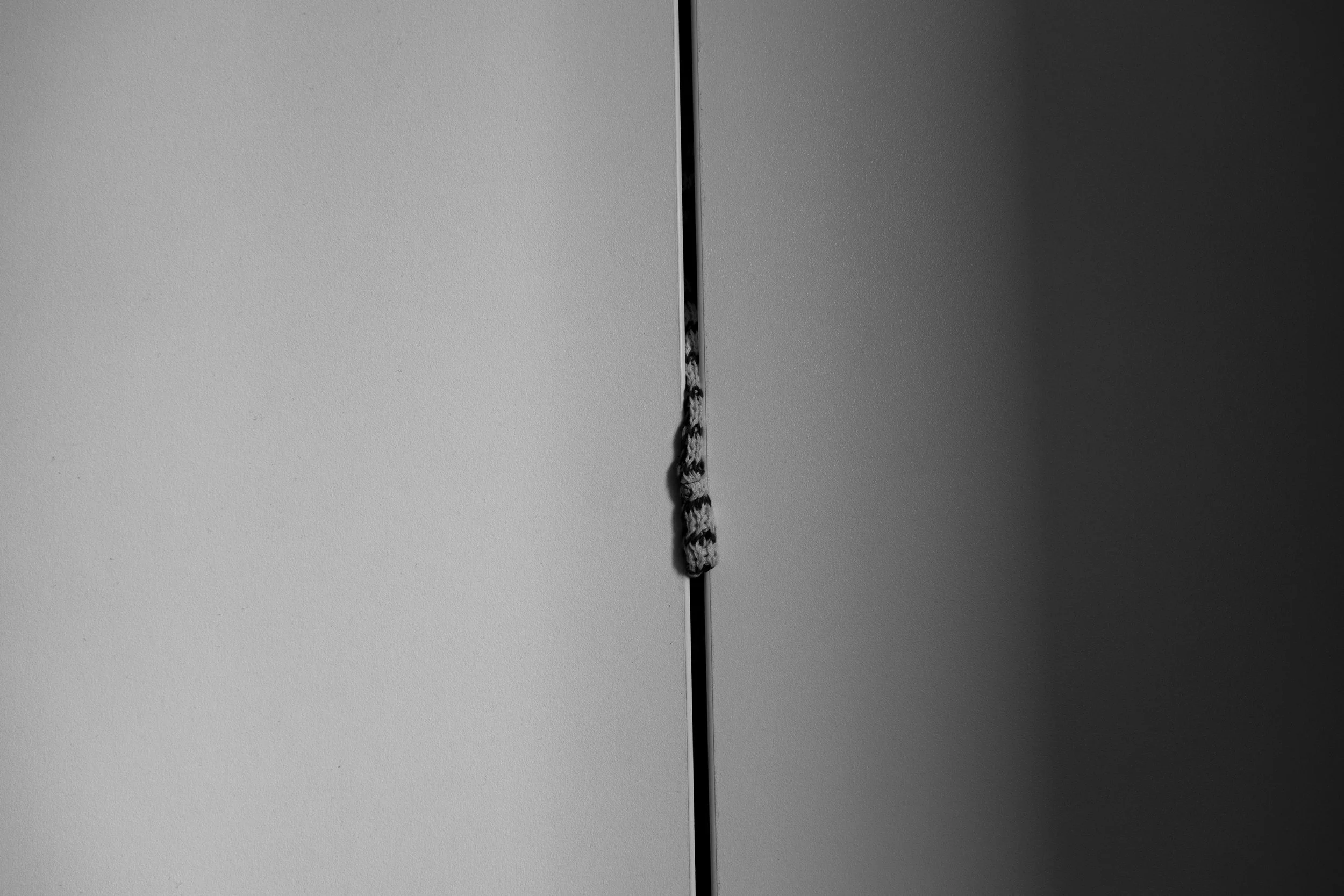 _DSF3971.jpg